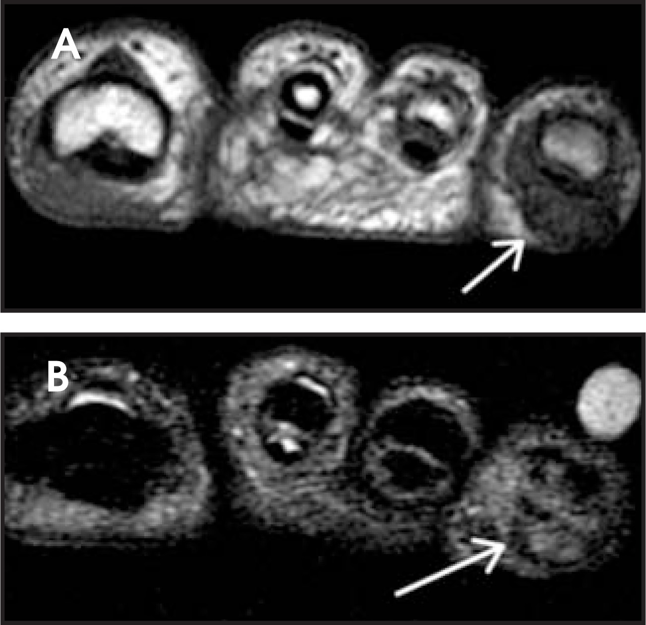 FIGURE 20.