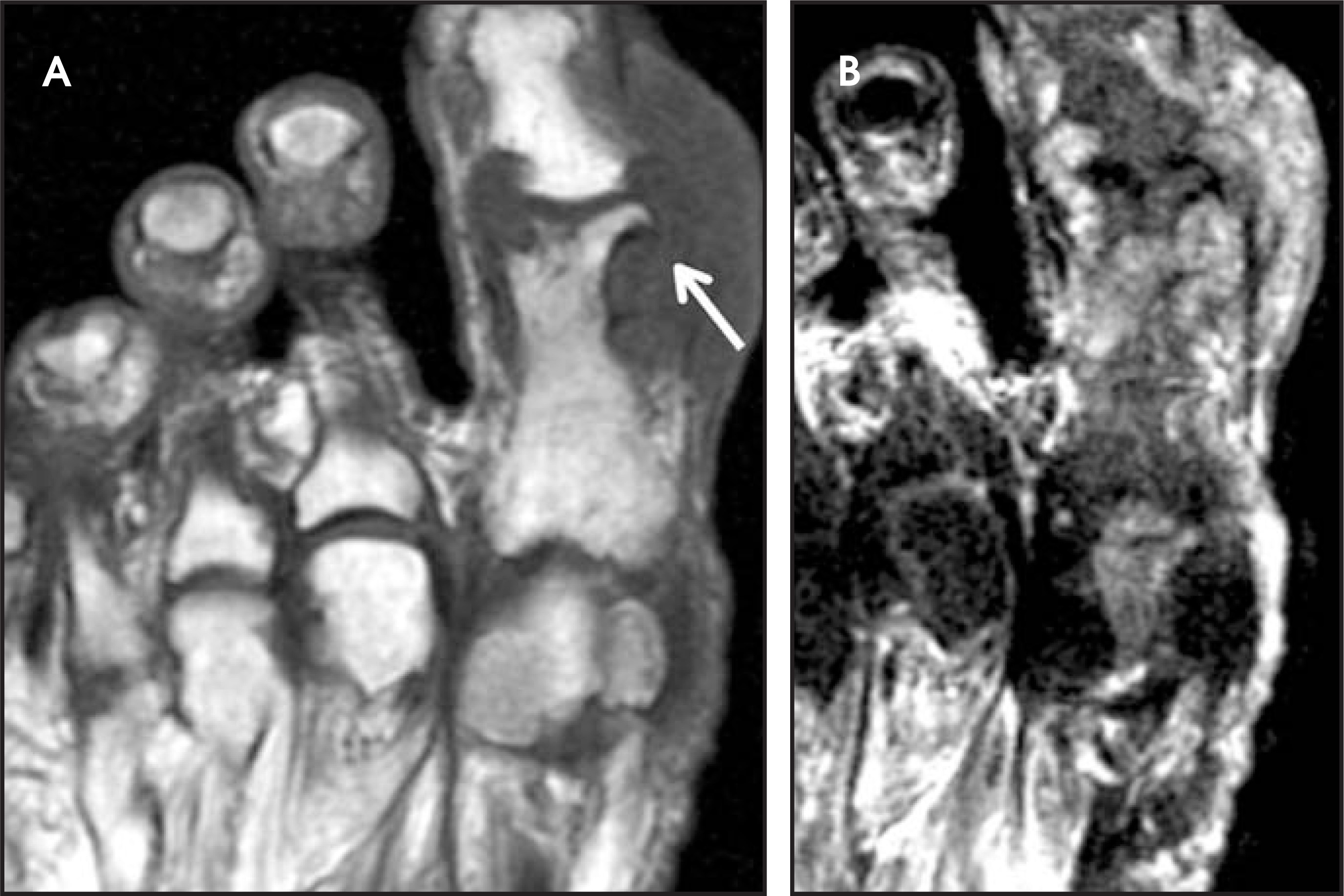 FIGURE 21.