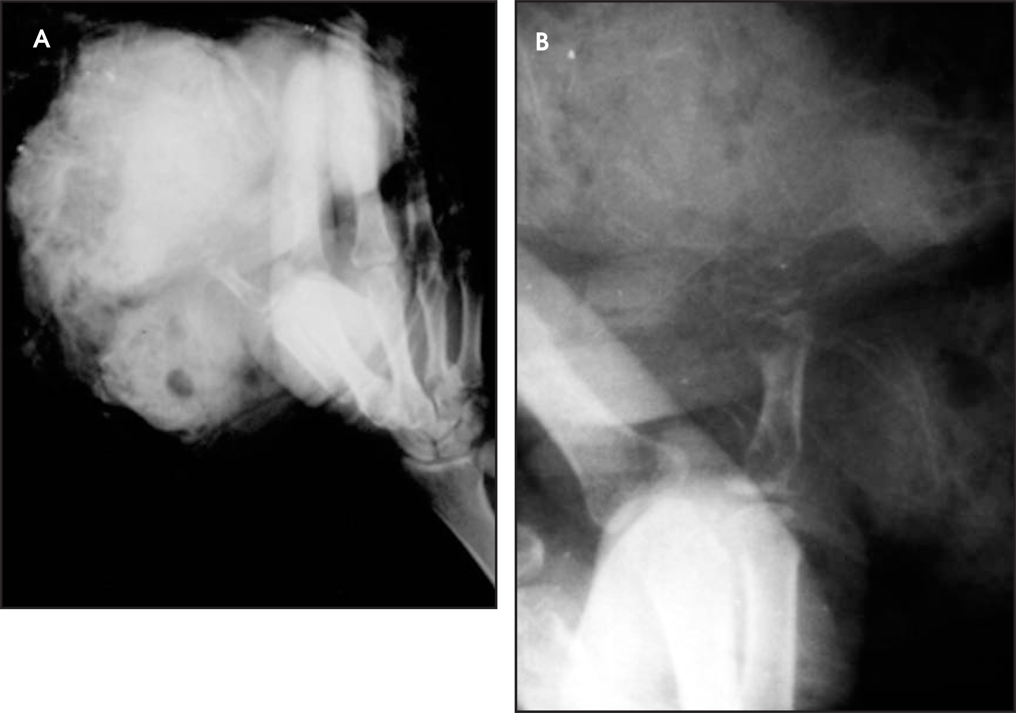 FIGURE. 1.