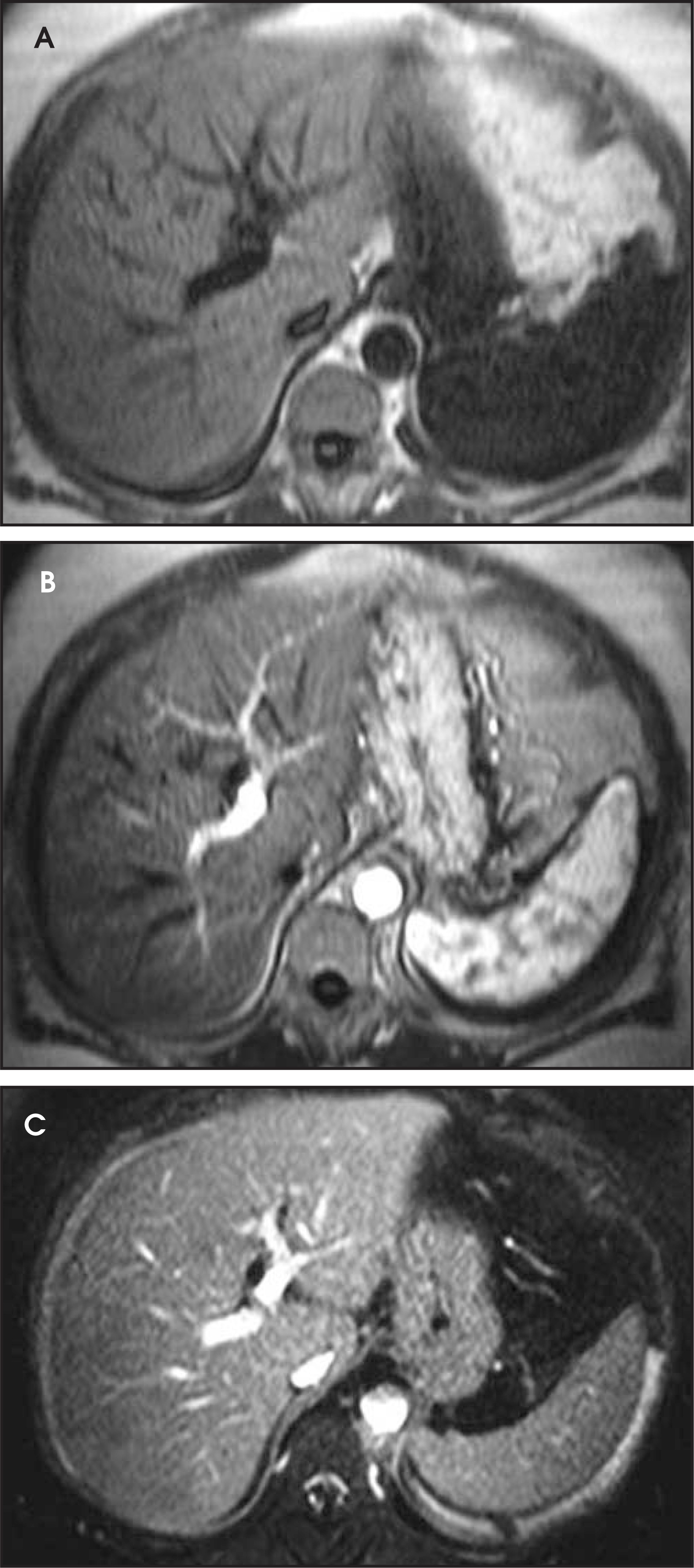 FIGURE 4.