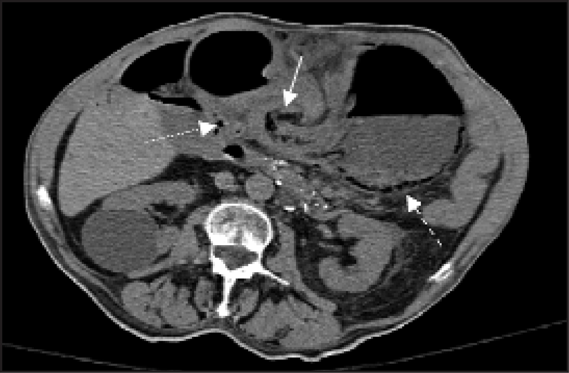 FIGURE 1.
