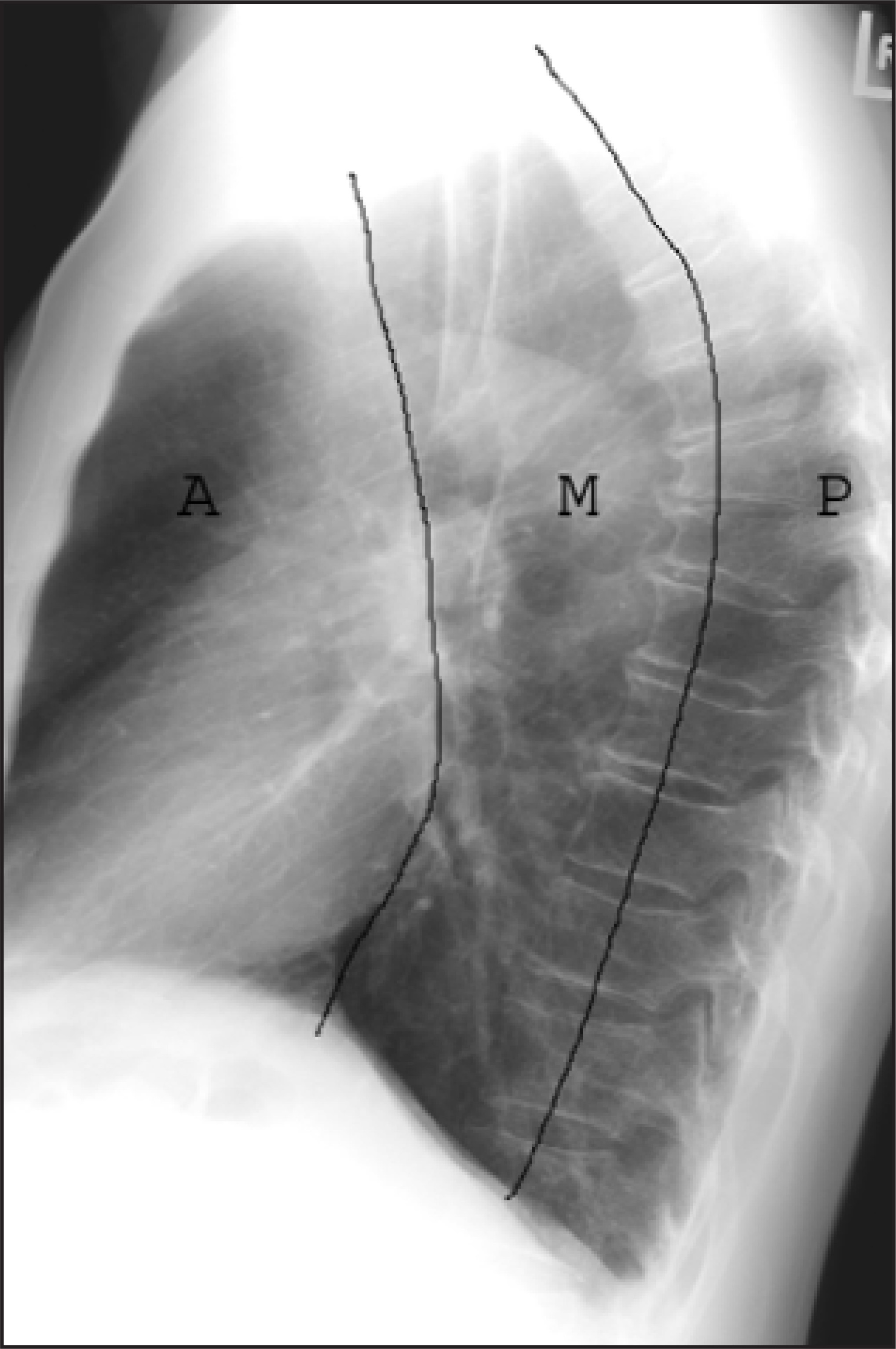 FIGURE 1.