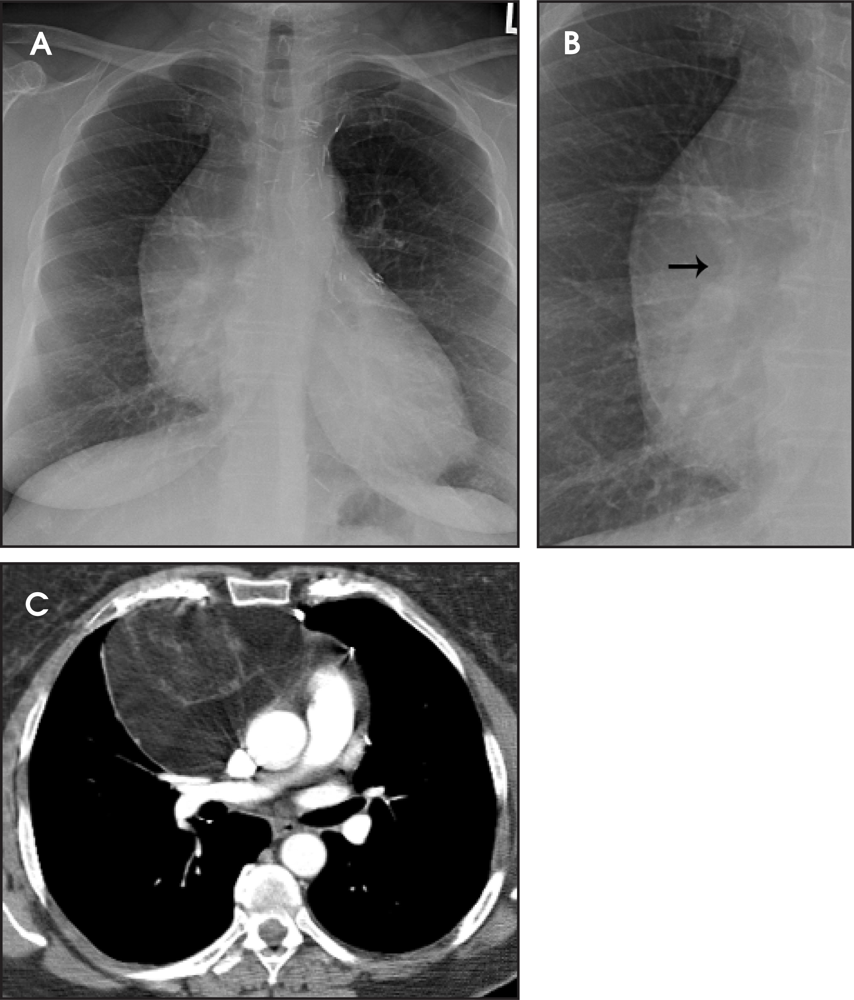 FIGURE 3.