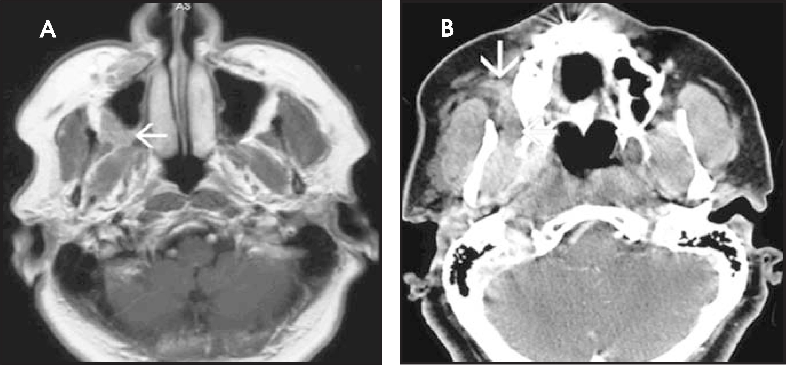 FIGURE 12.