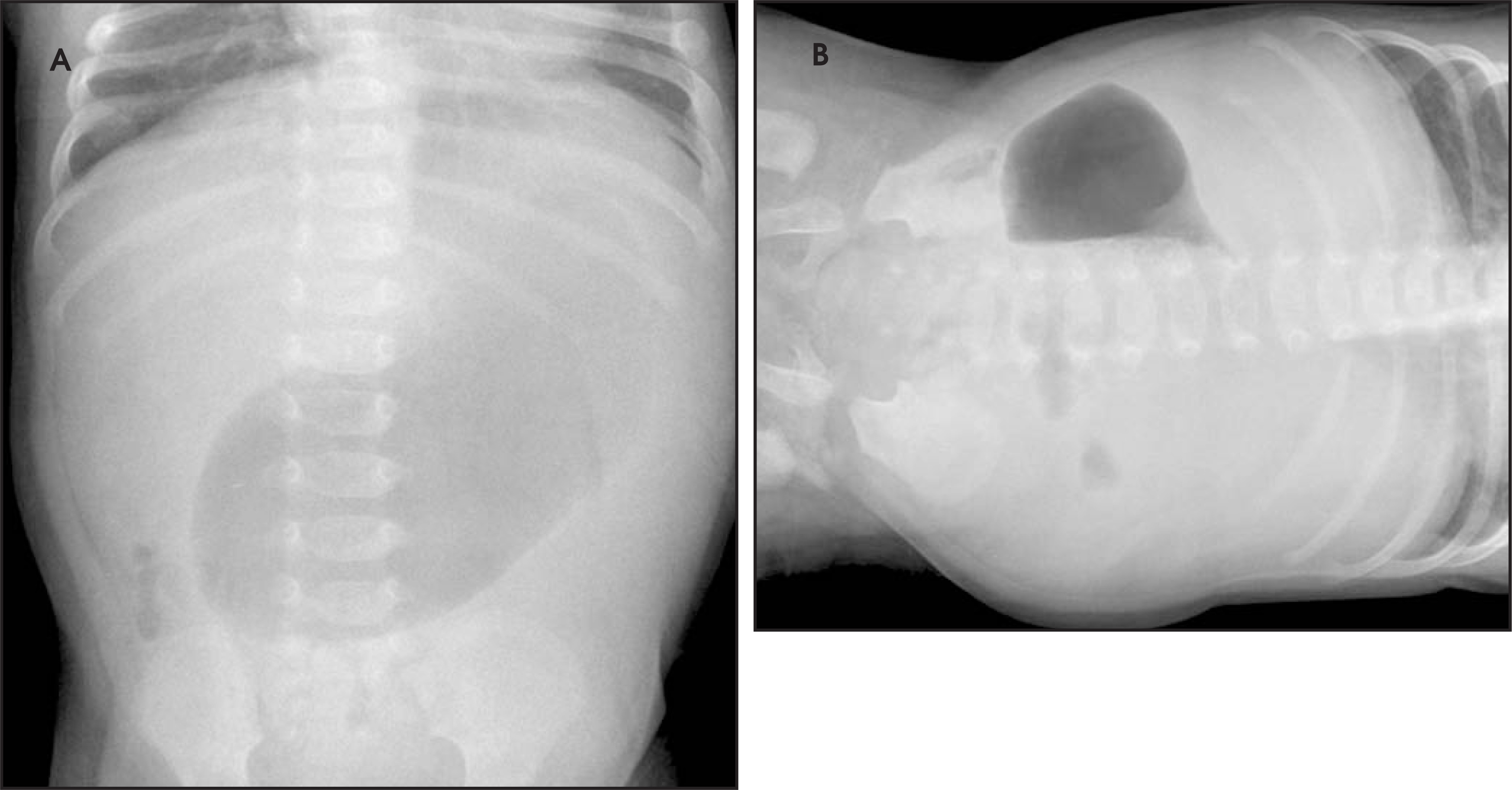 FIGURE 1.
