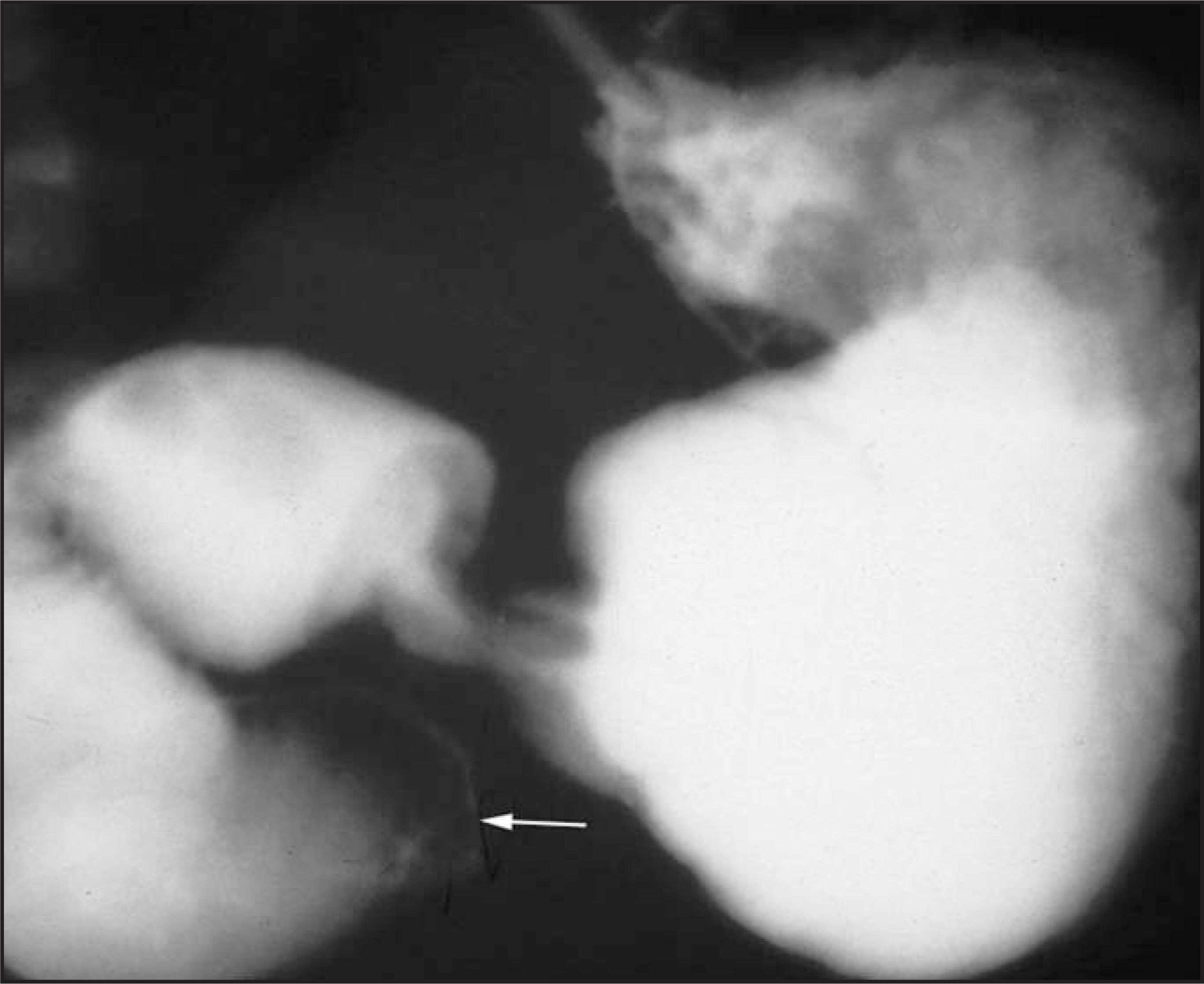 FIGURE 7.
