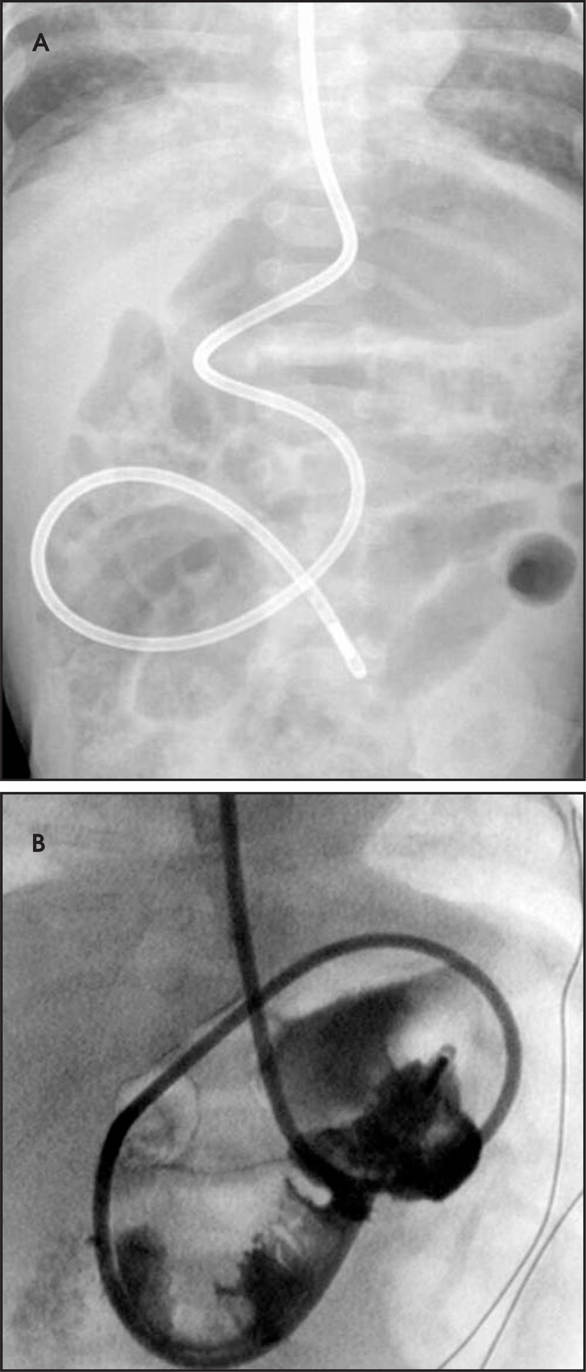 FIGURE 10.