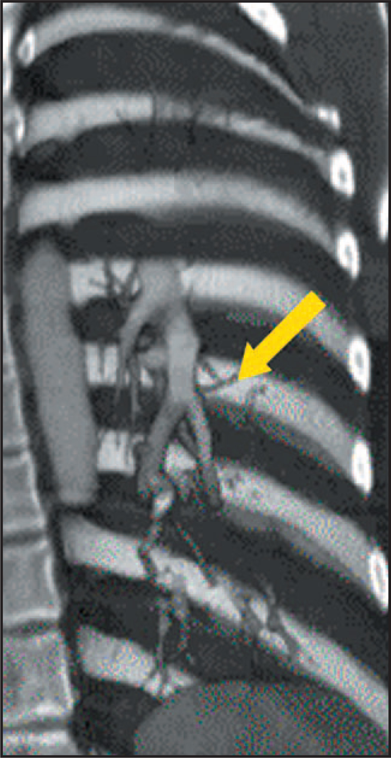 FIGURE 8.