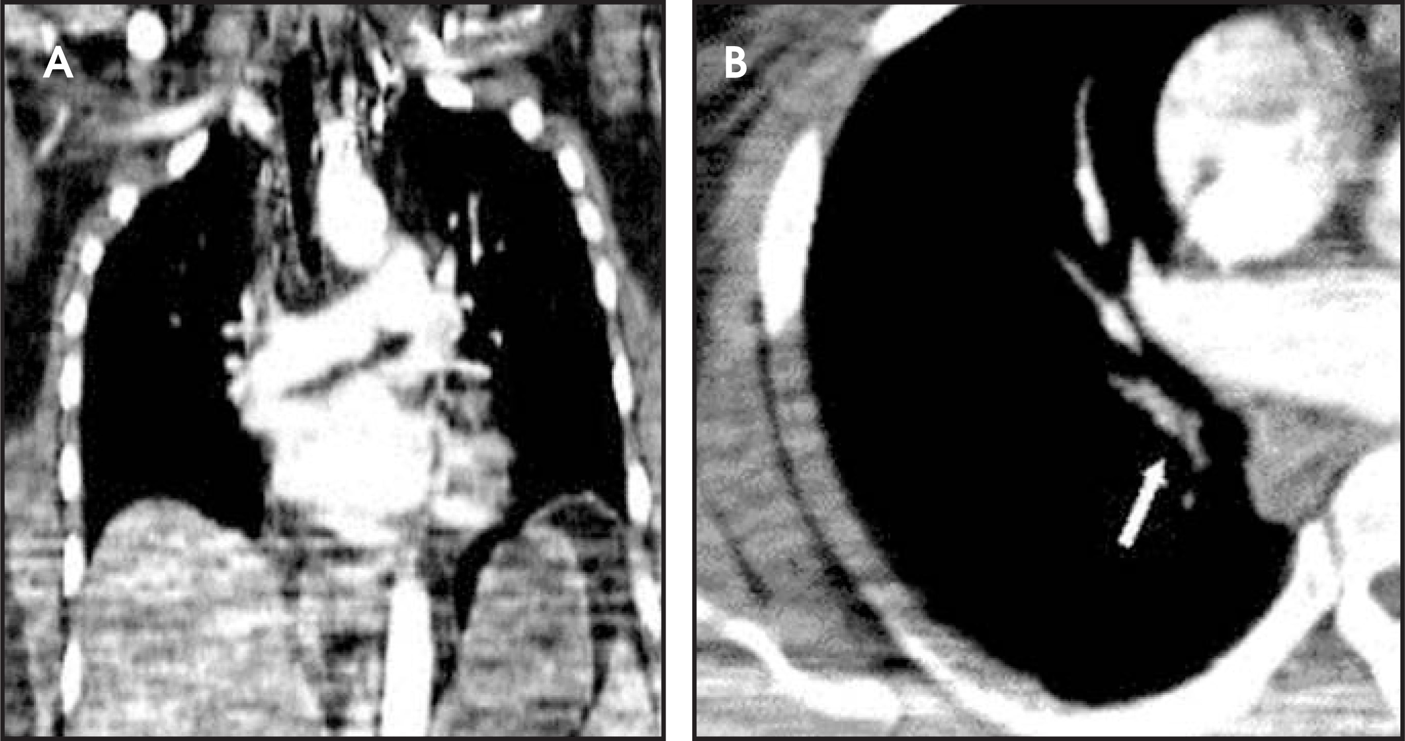 FIGURE 12.