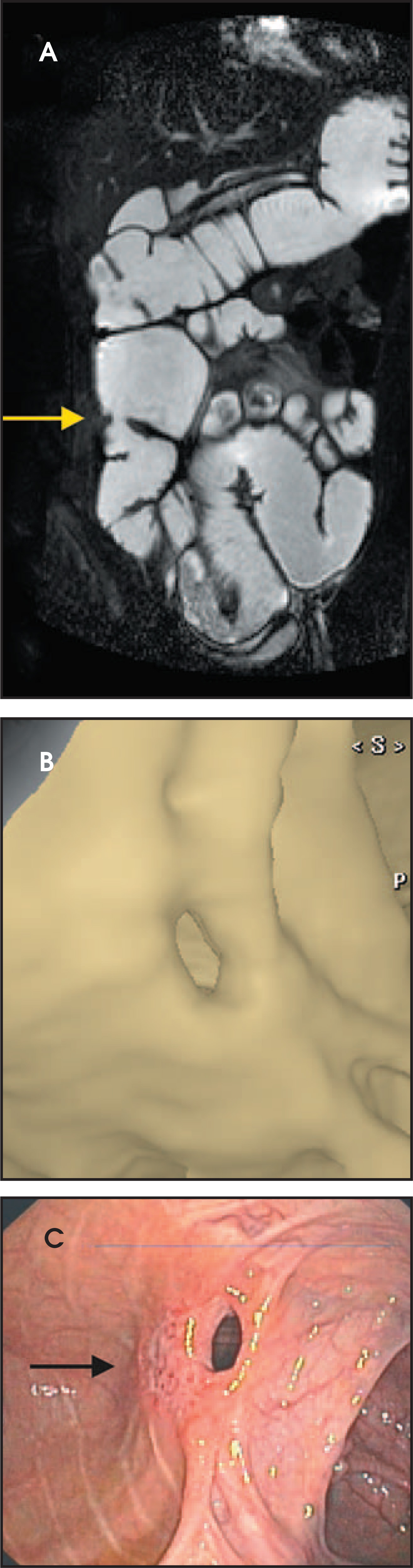 FIGURE 8.