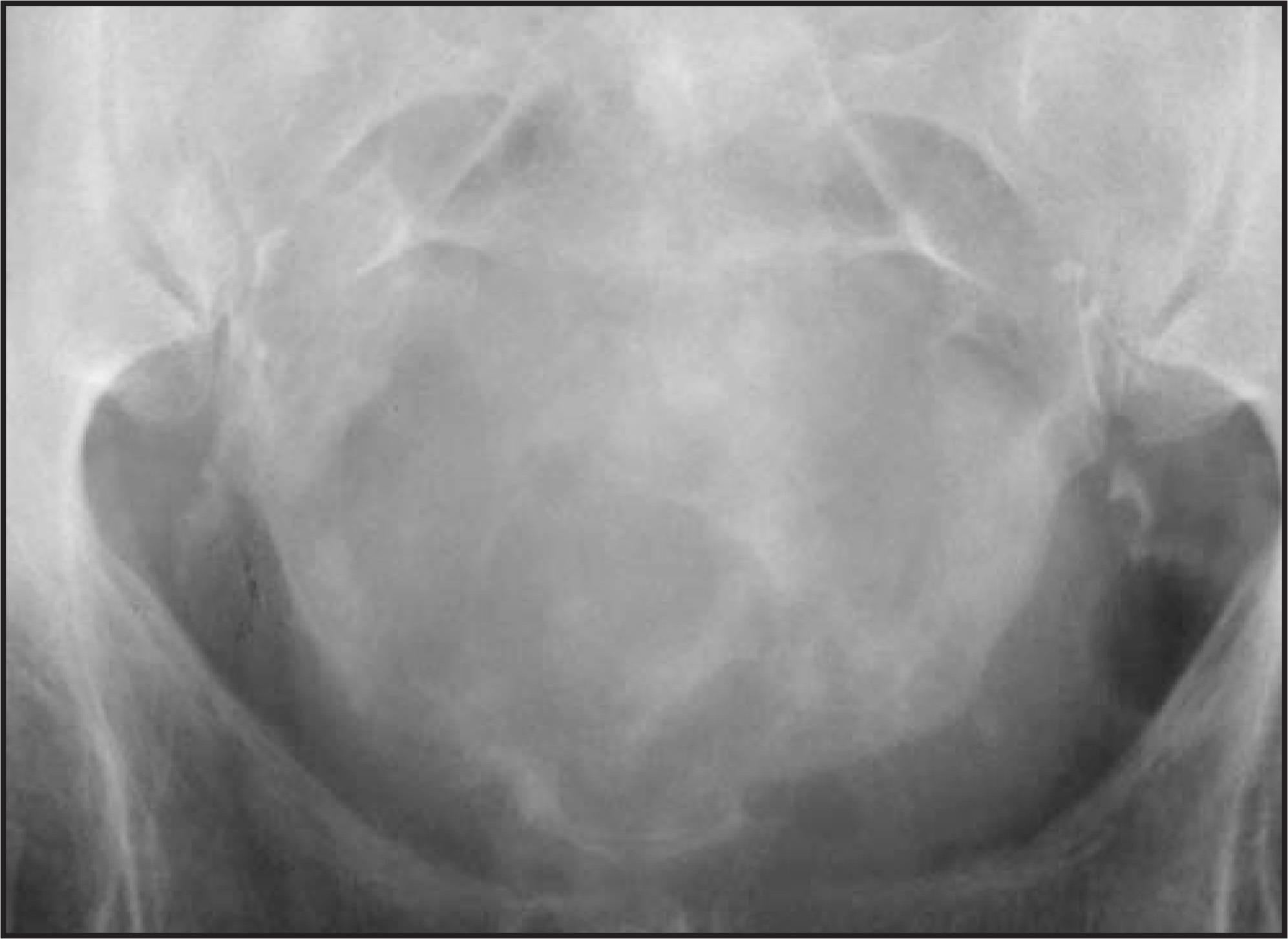 FIGURE 1.