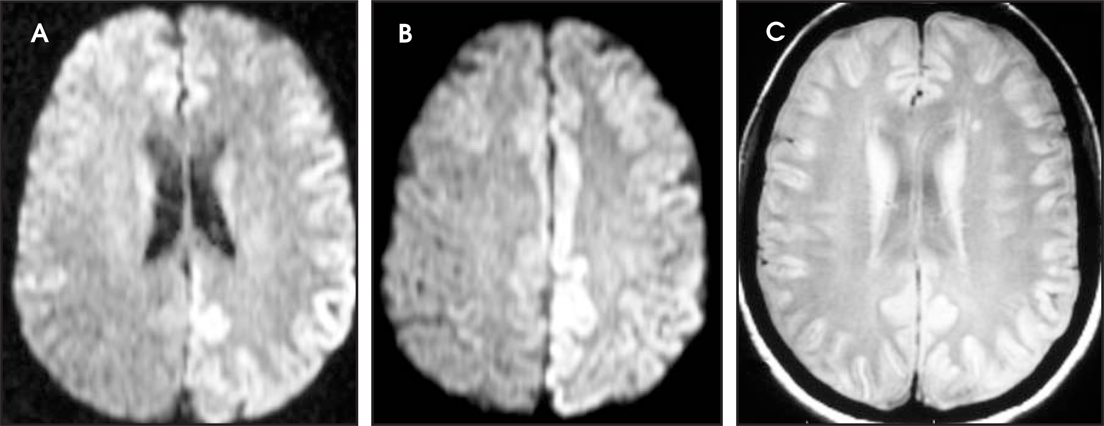FIGURE 1.