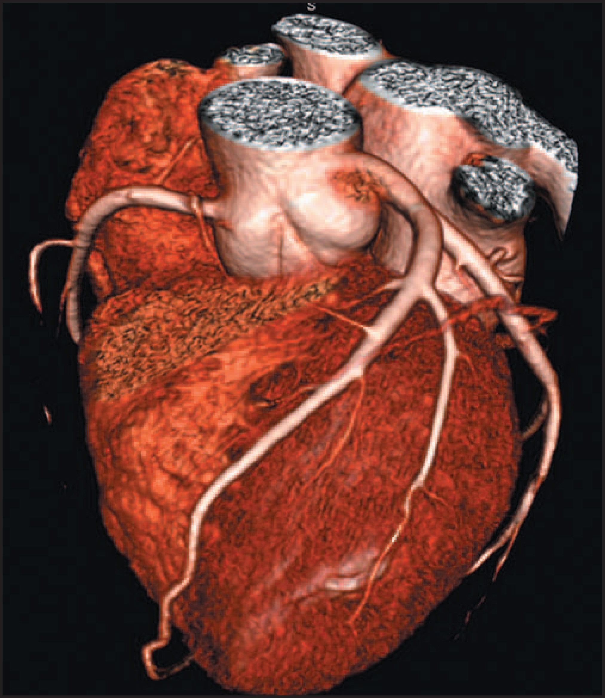FIGURE 4.