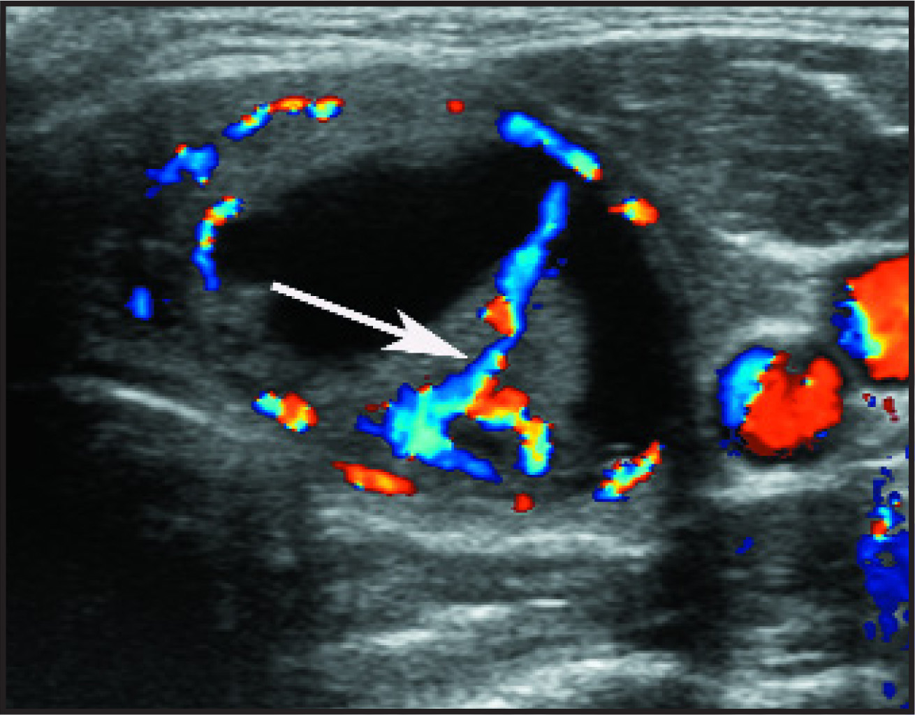 FIGURE 19.