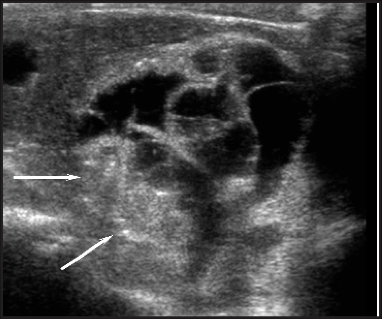 FIGURE 20.