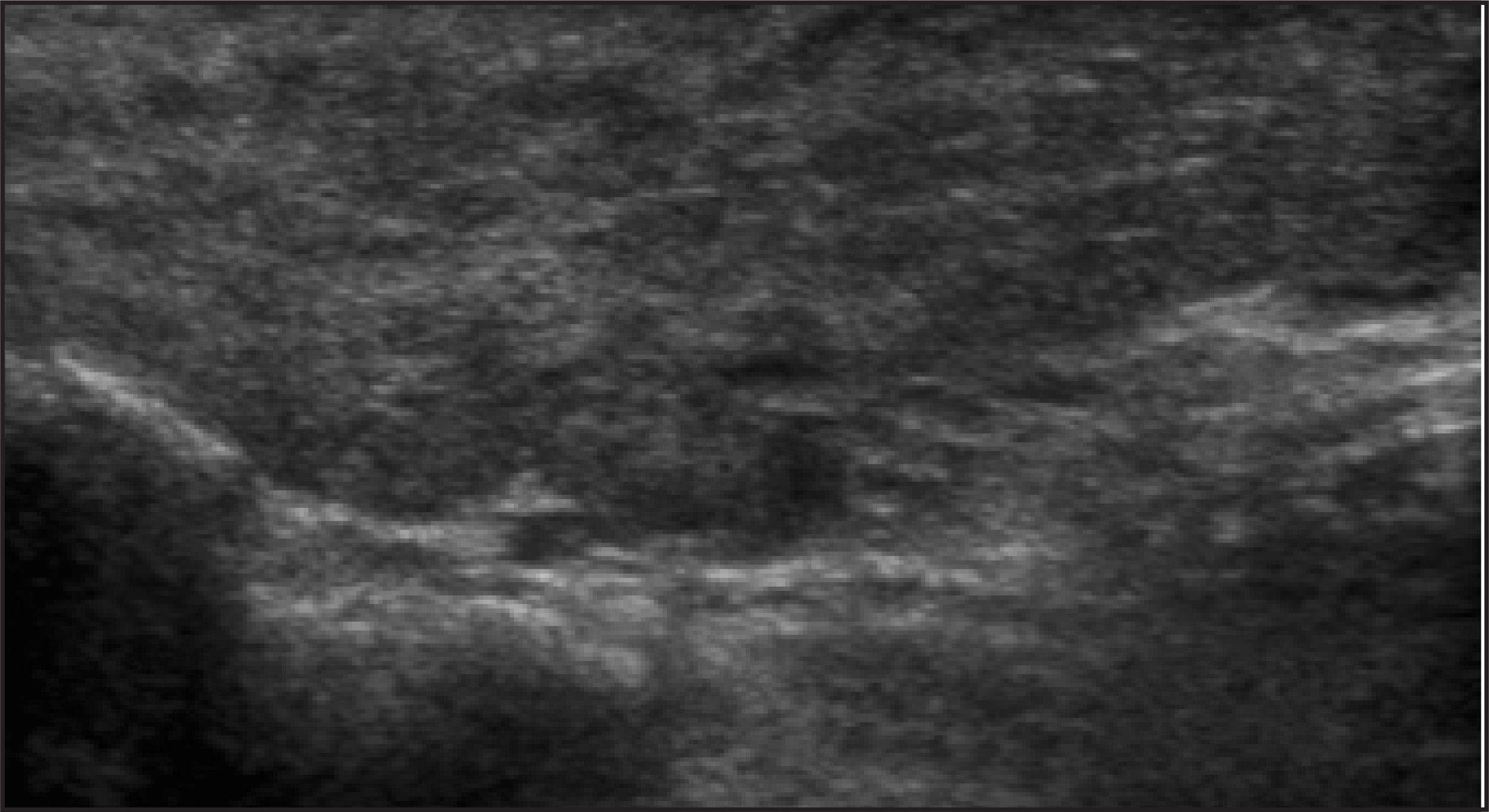 FIGURE 21.