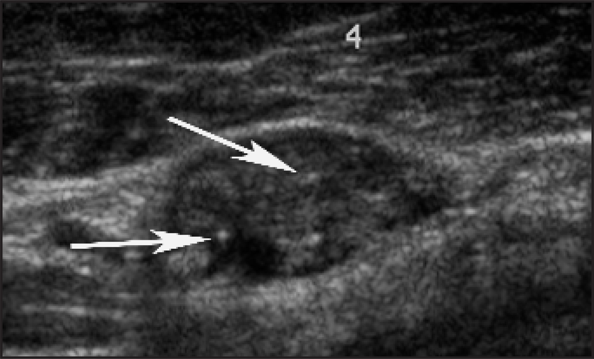 FIGURE 24.