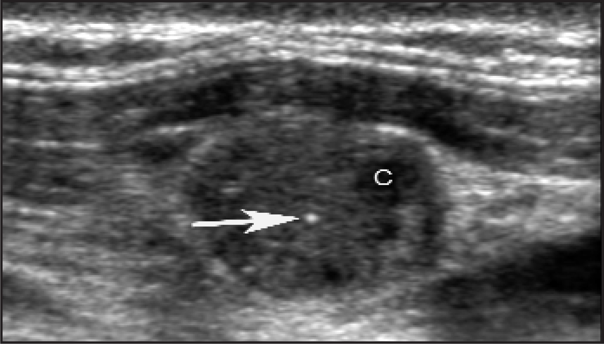 FIGURE 25.