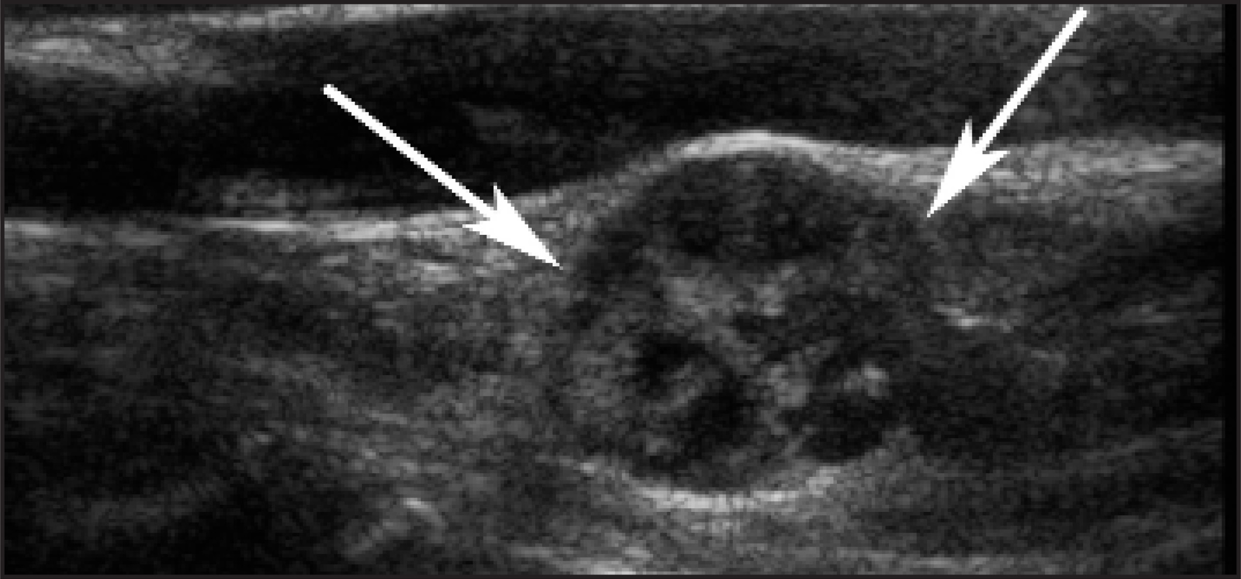 FIGURE 27.