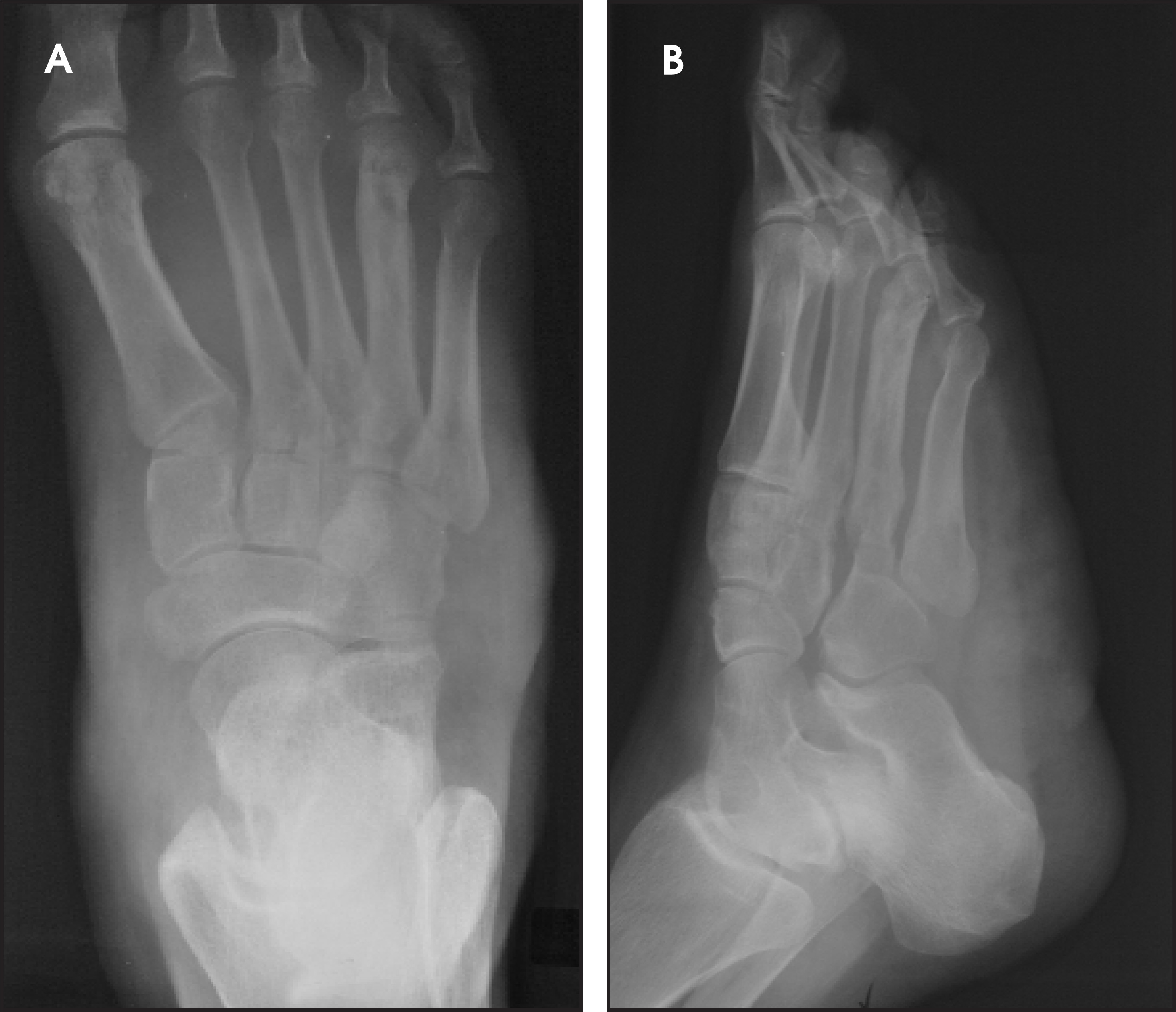 FIGURE 1.