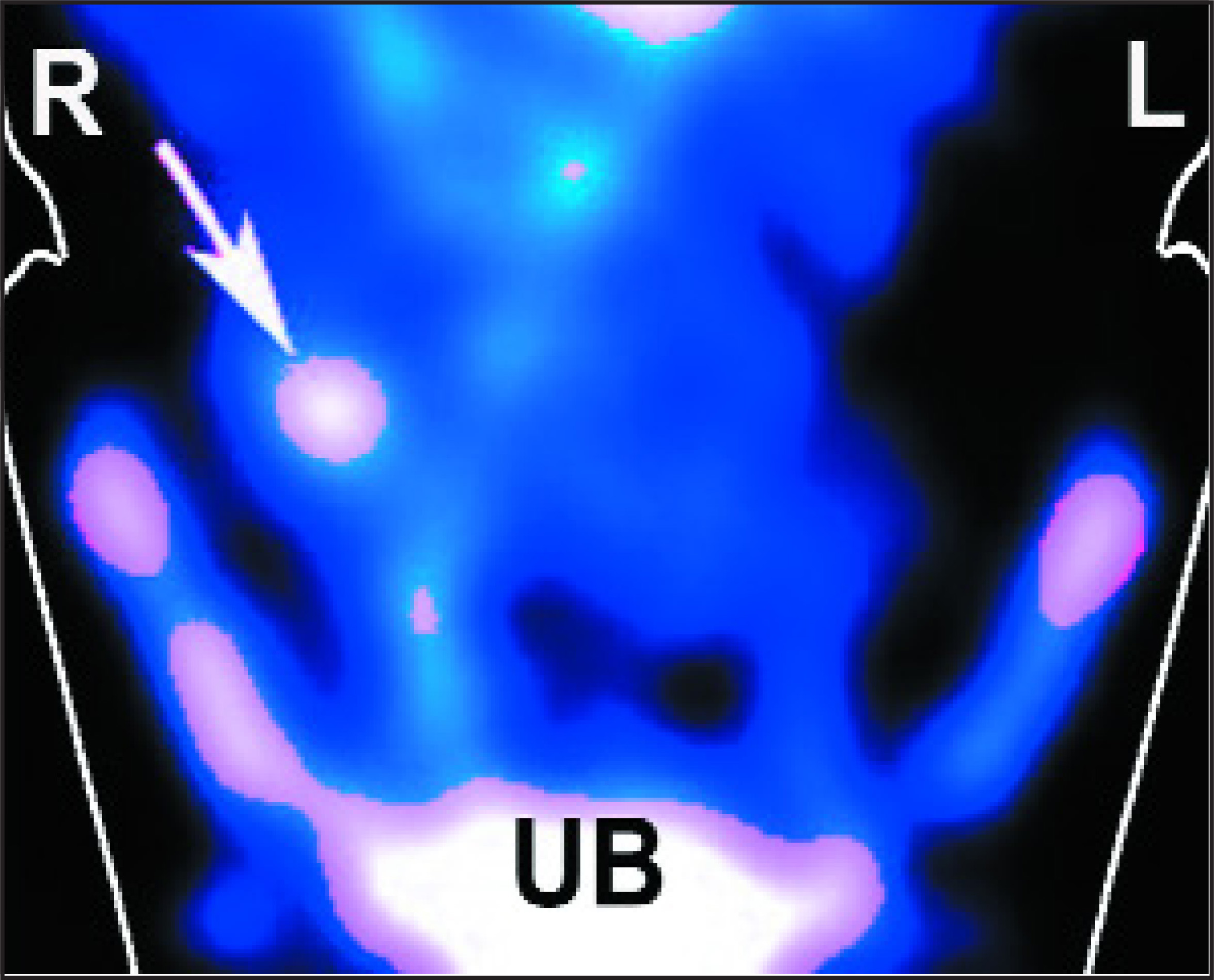 FIGURE 1.
