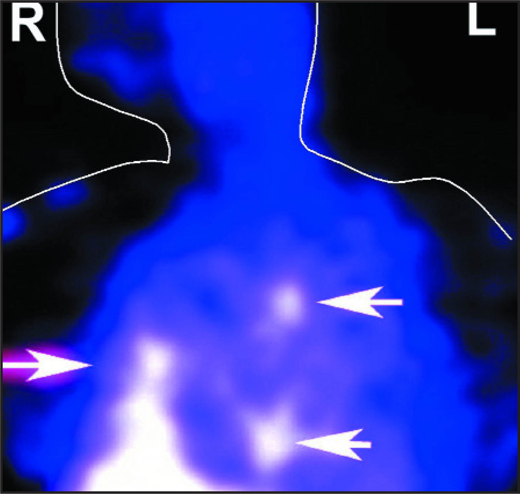 FIGURE 2.