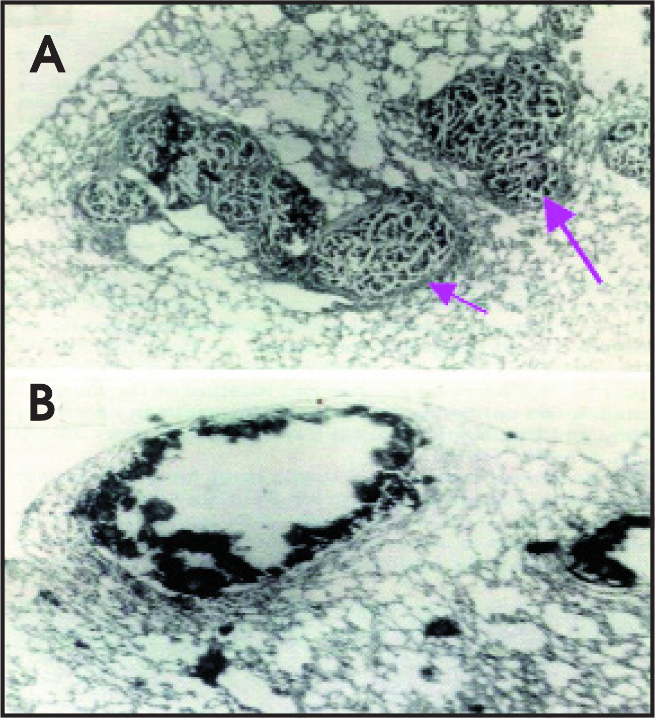 FIGURE 10.
