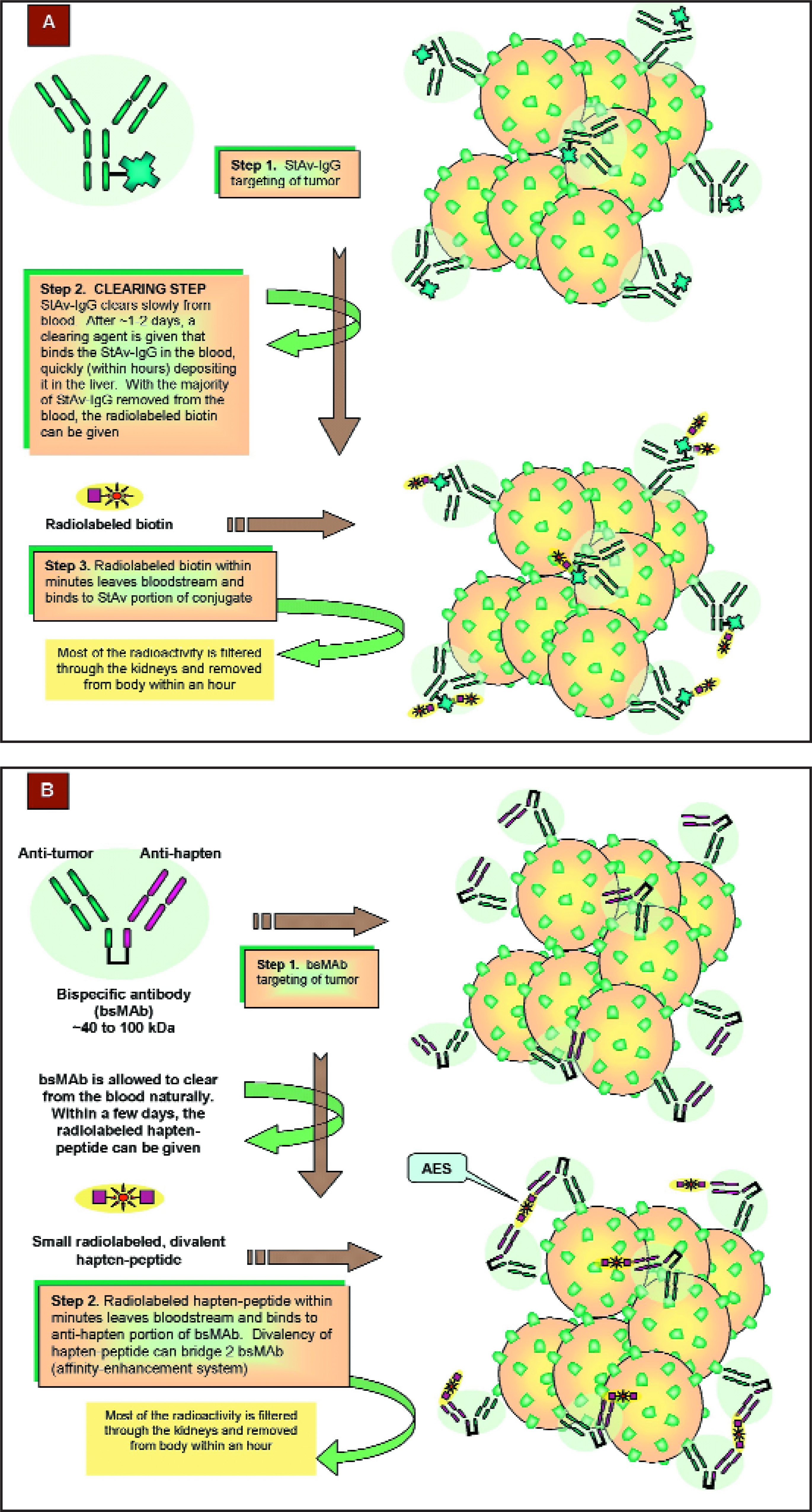 FIGURE 12.