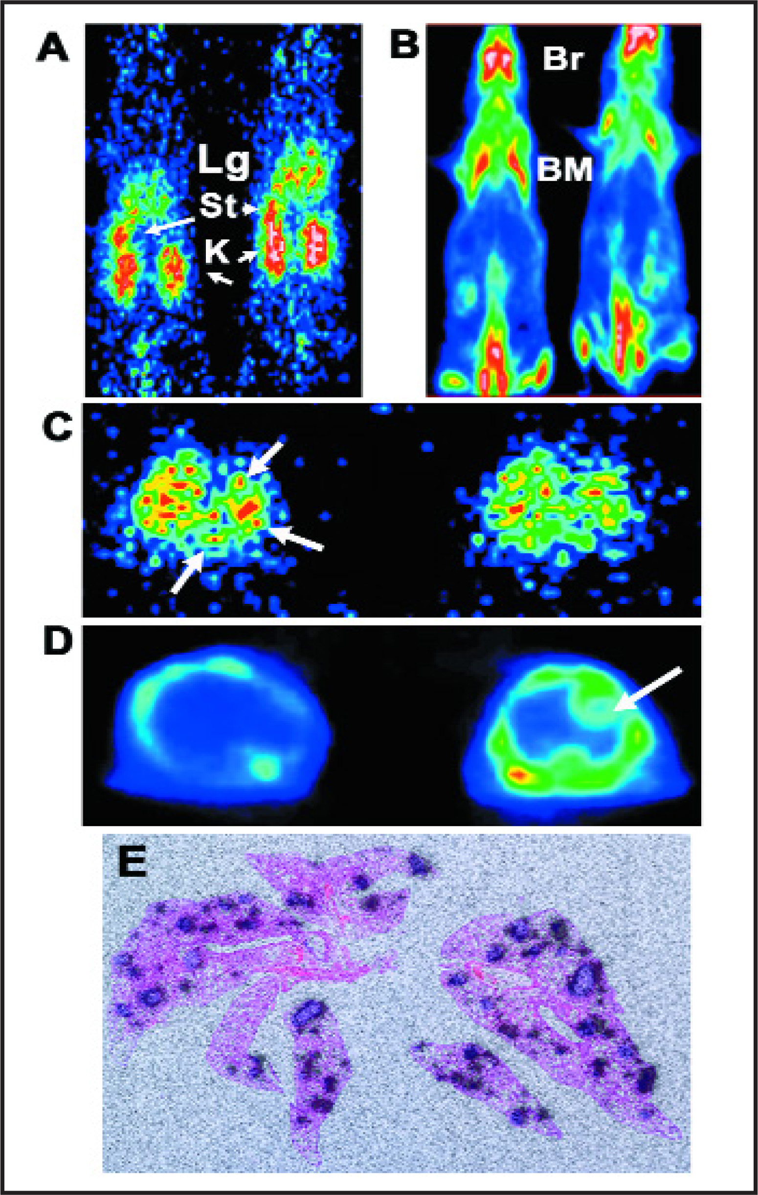 FIGURE 14.