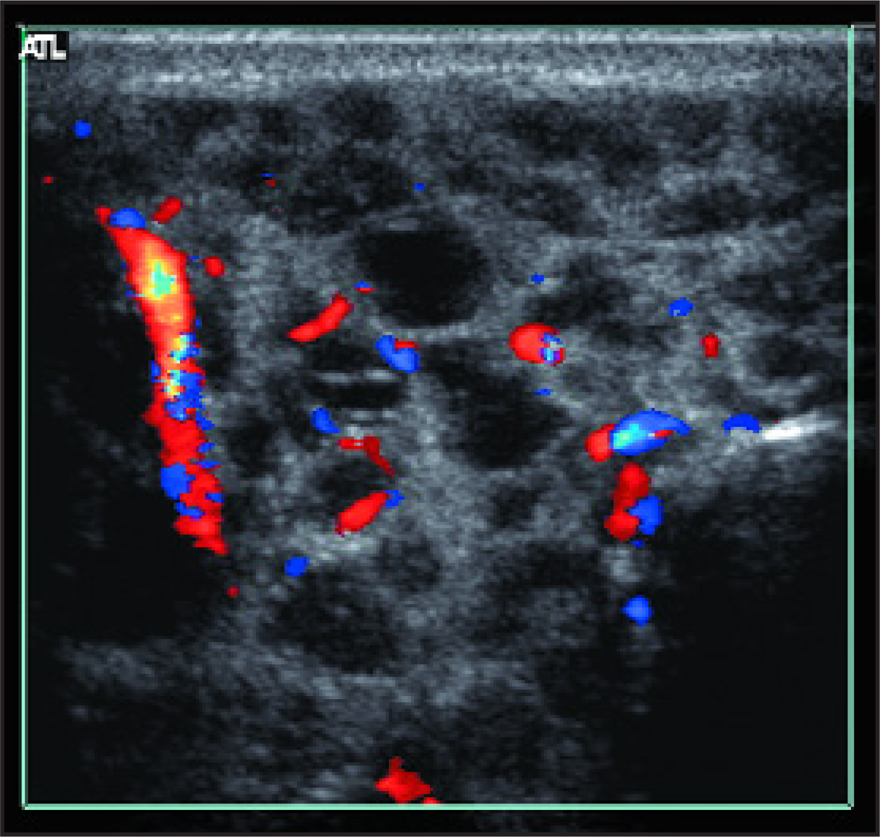 FIGURE 2.