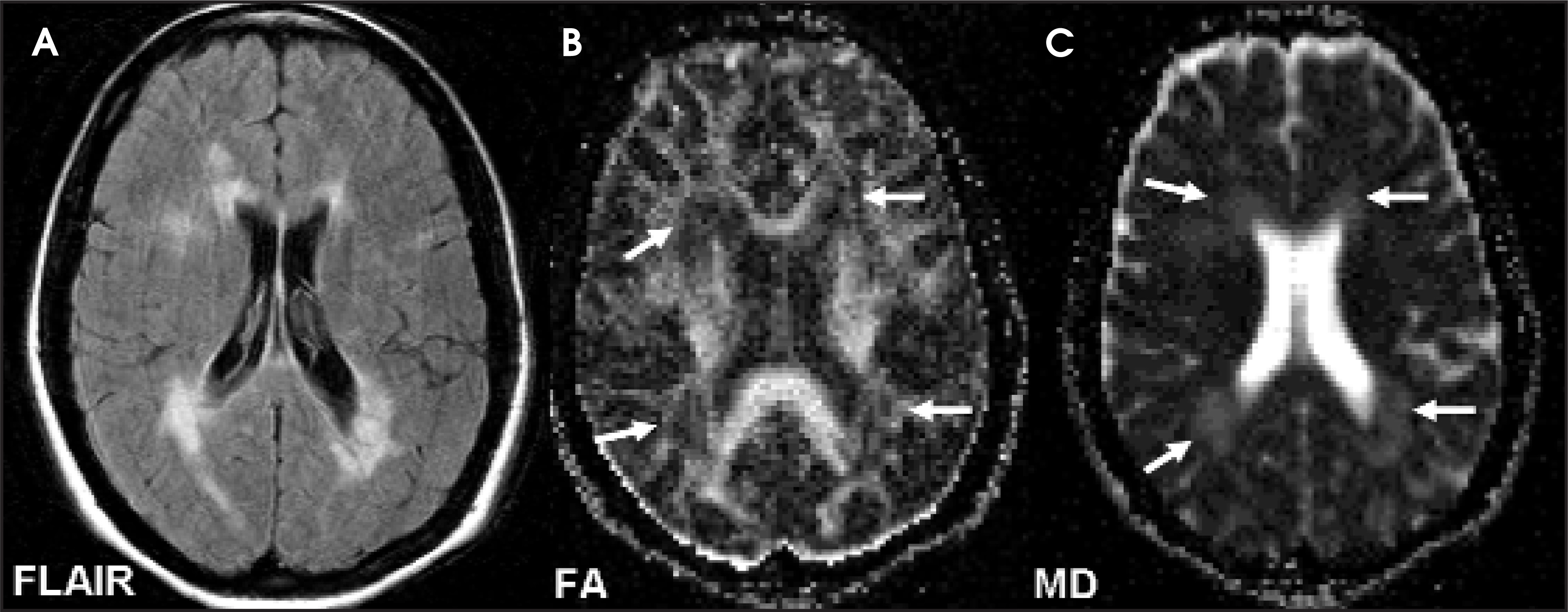 FIGURE 1.