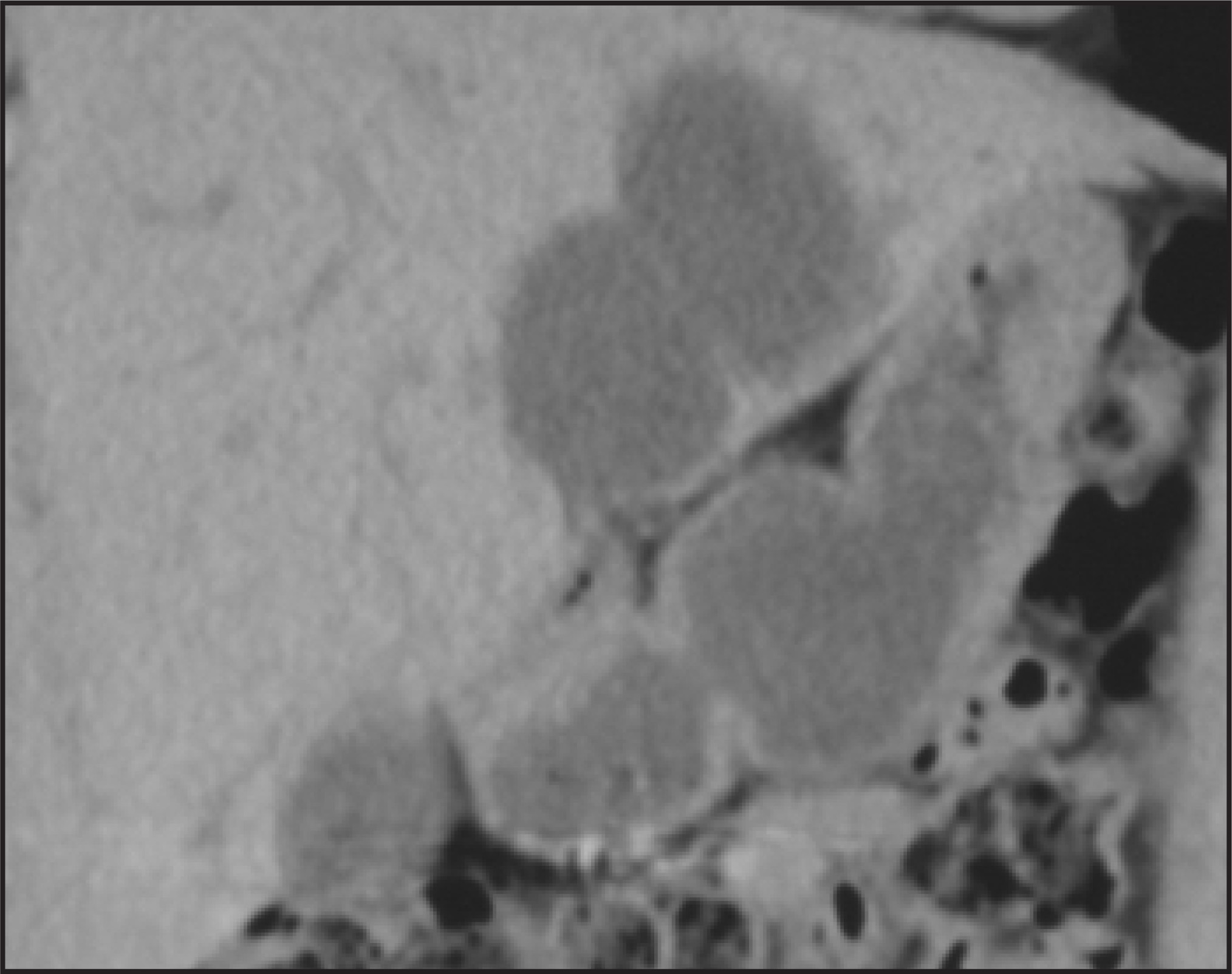 FIGURE 1.