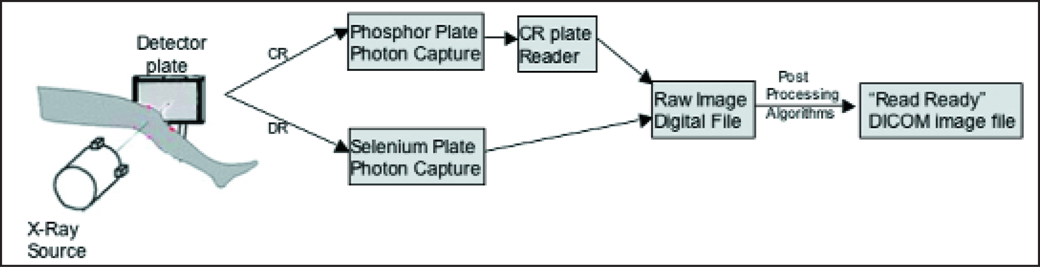 FIGURE 1.