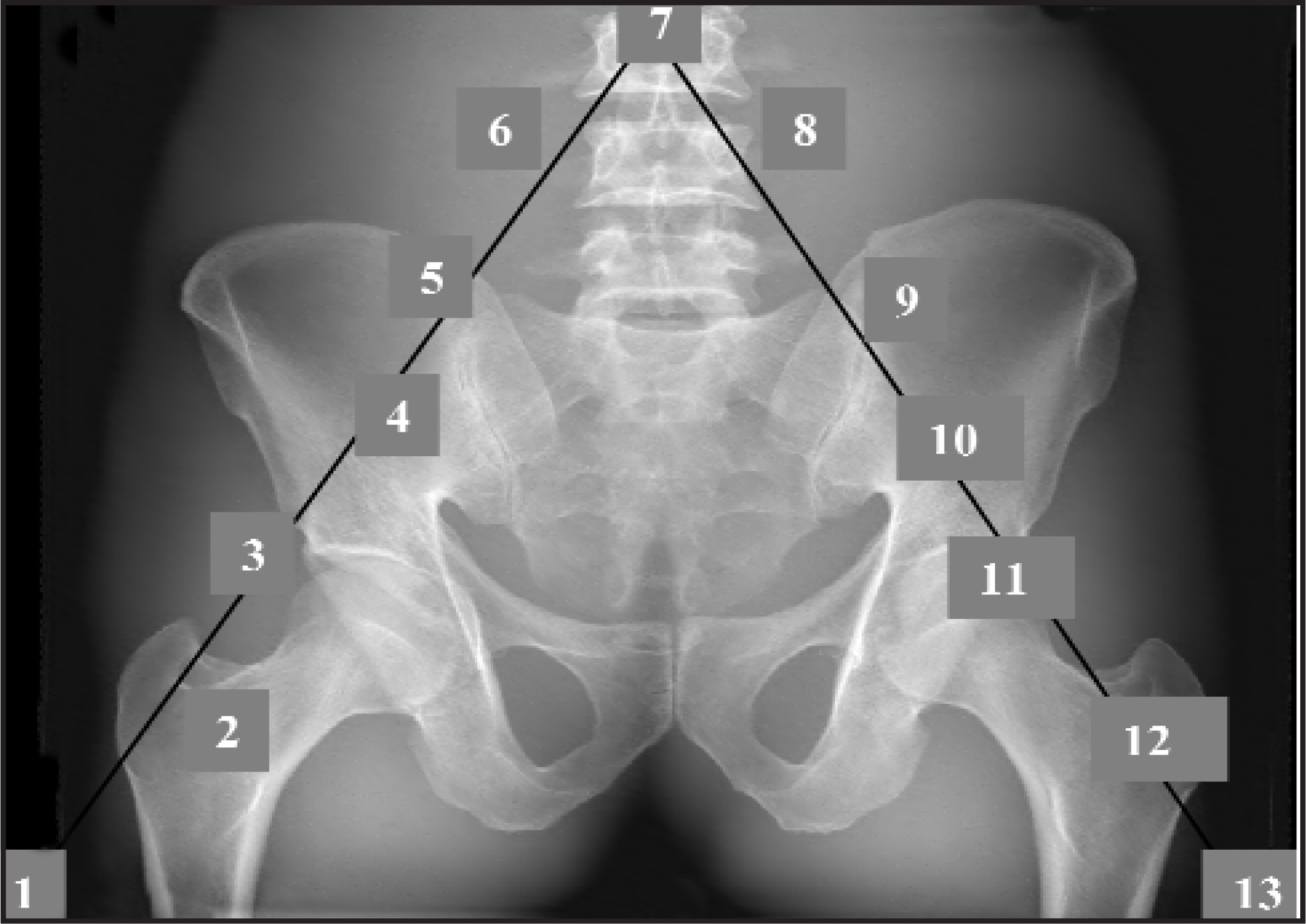 FIGURE 4.