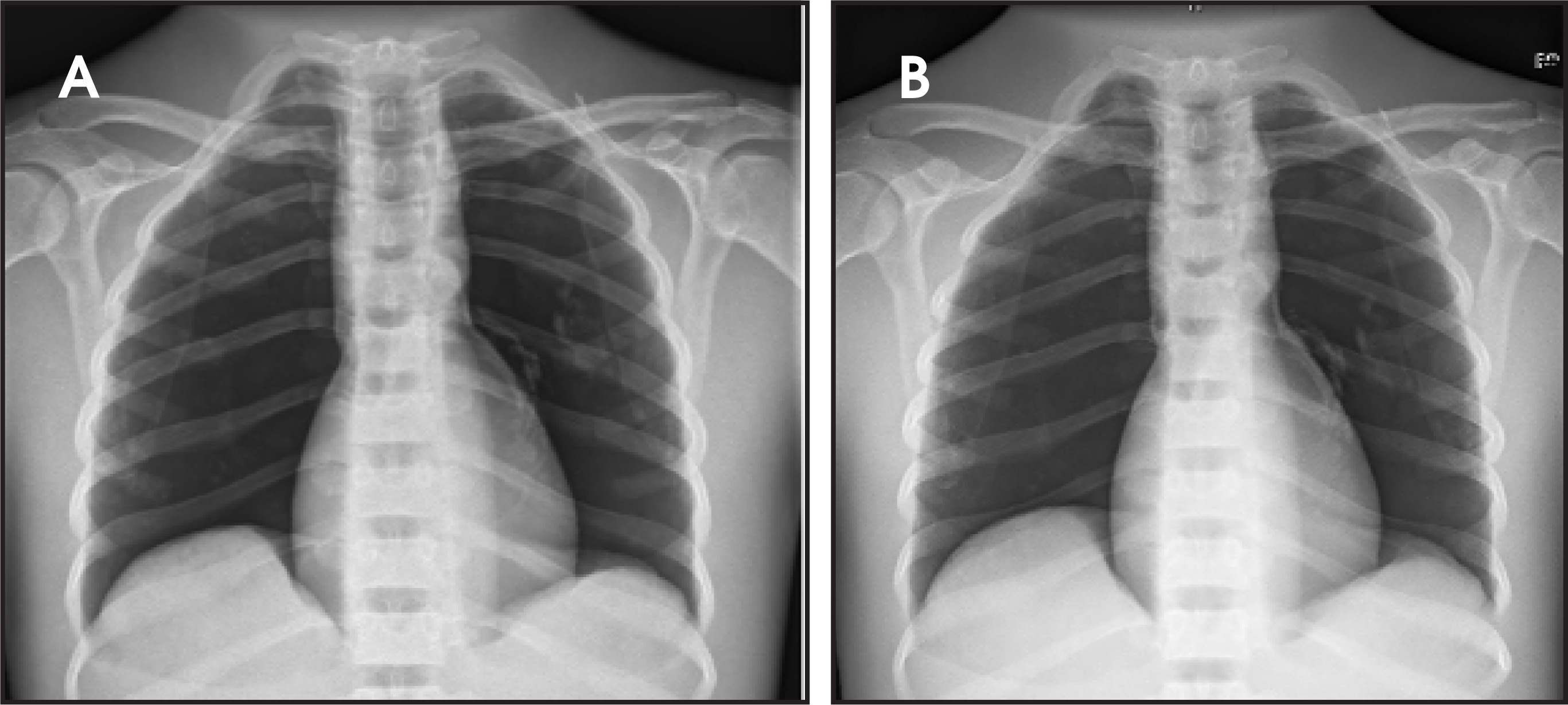 FIGURE 10.