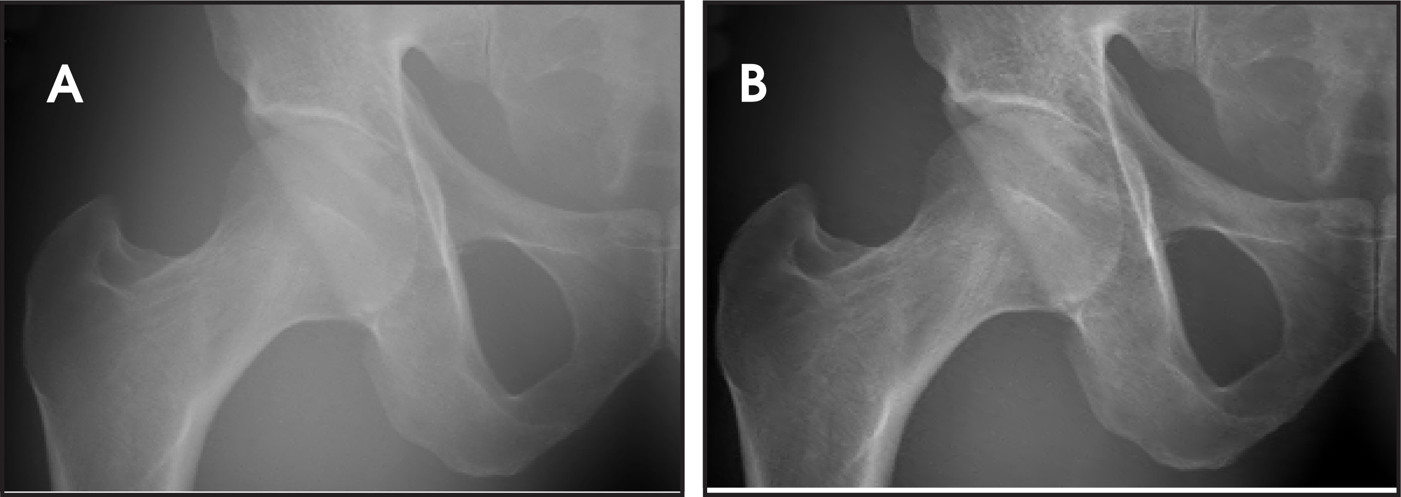 FIGURE 12.