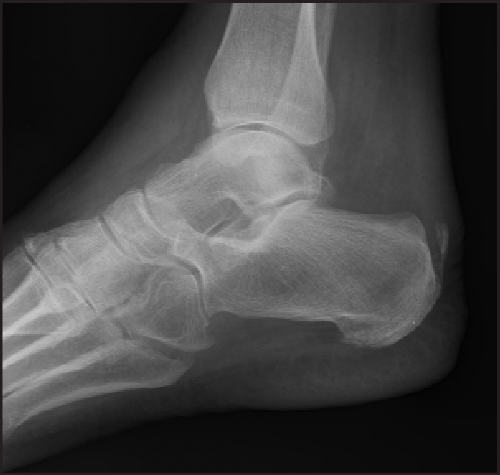 FIGURE 1.