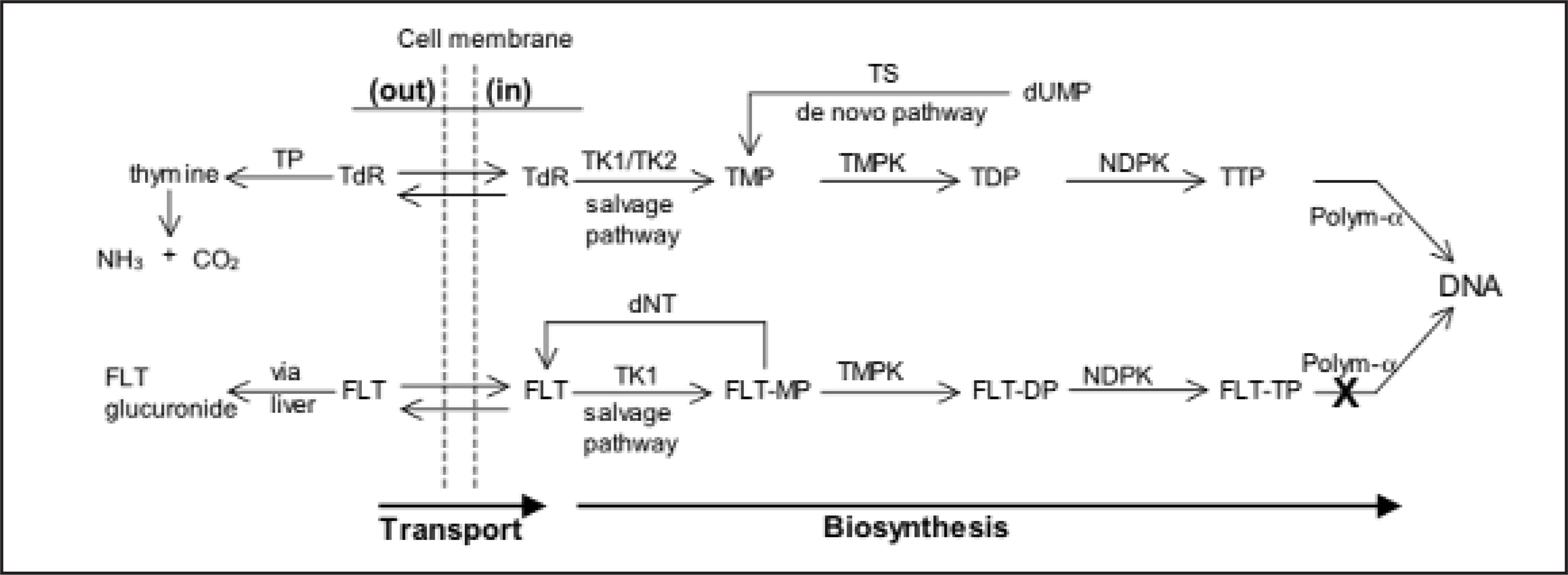 FIGURE 10.