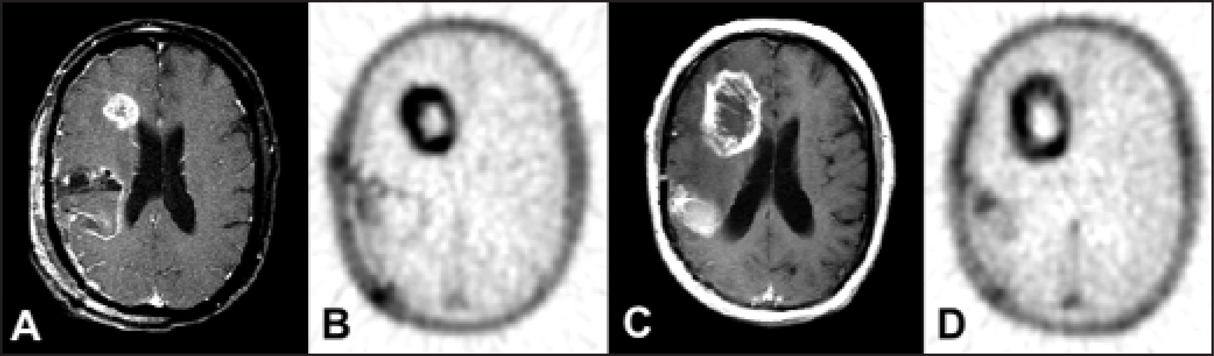 FIGURE 12.