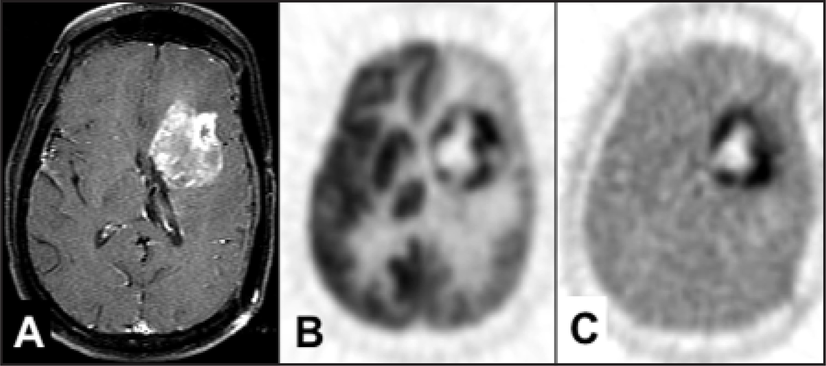 FIGURE 13.