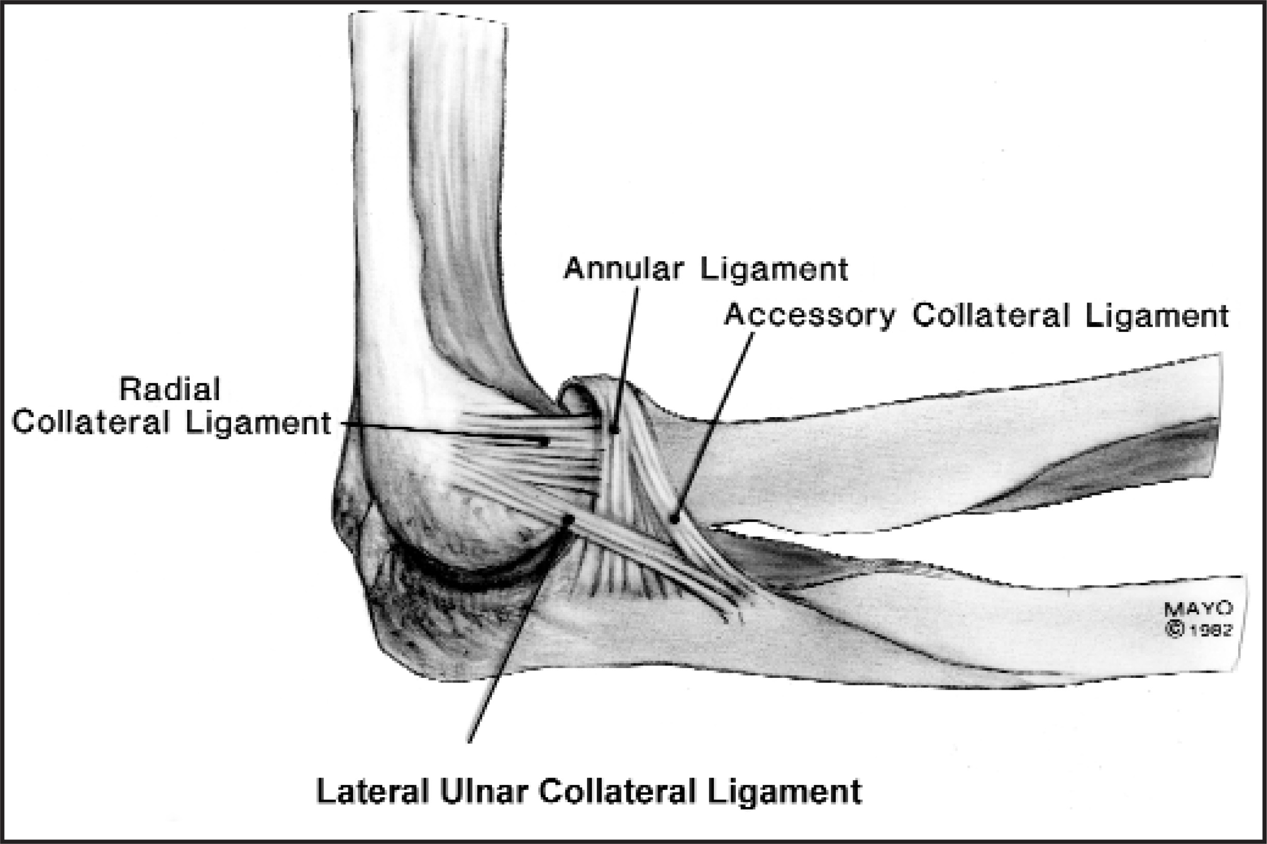 FIGURE 12.