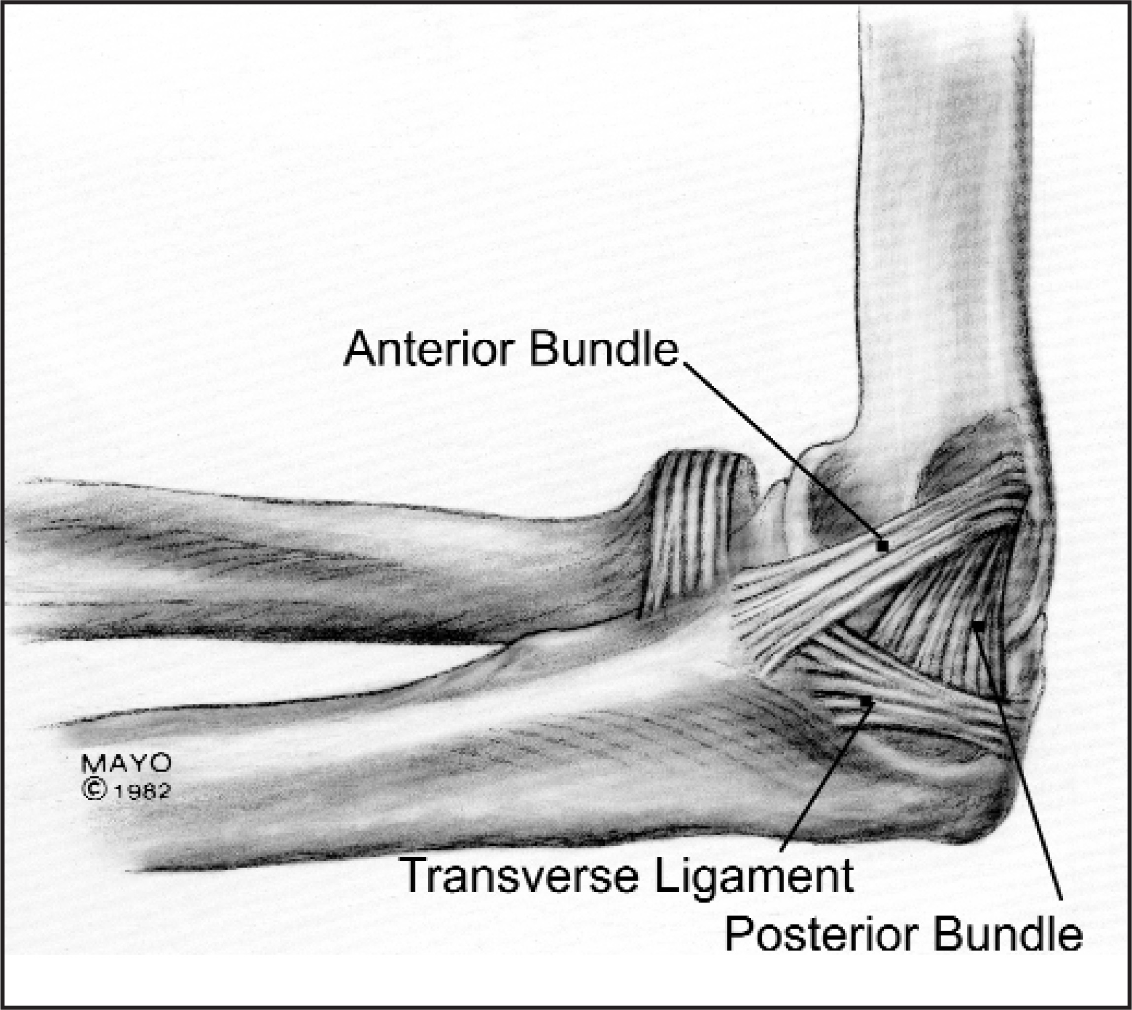 FIGURE 15.
