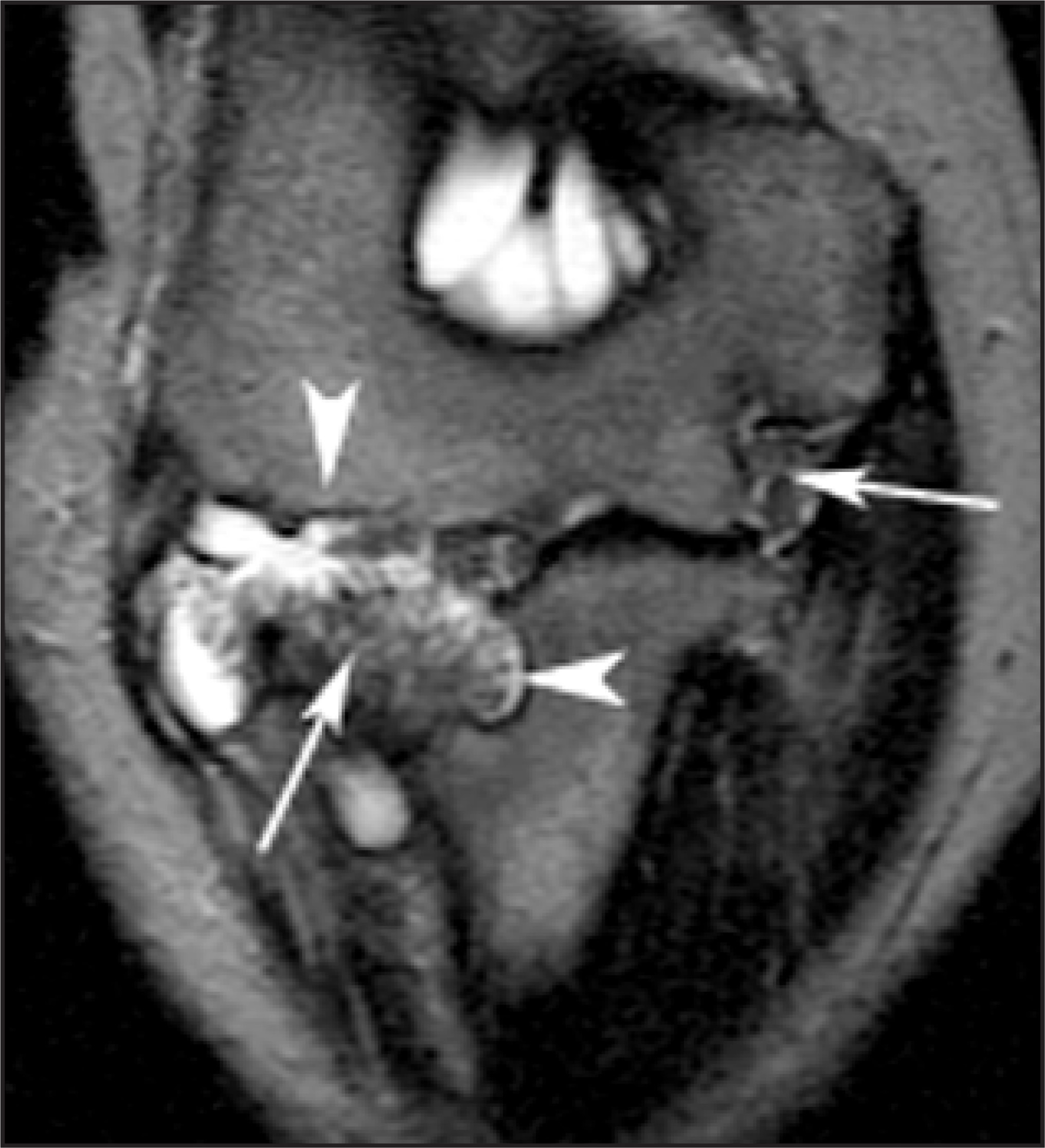 FIGURE 19.