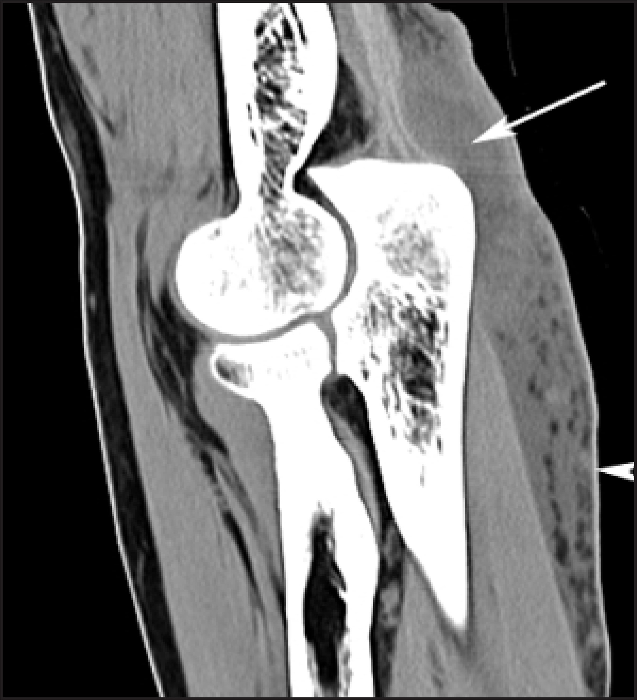 FIGURE 20.