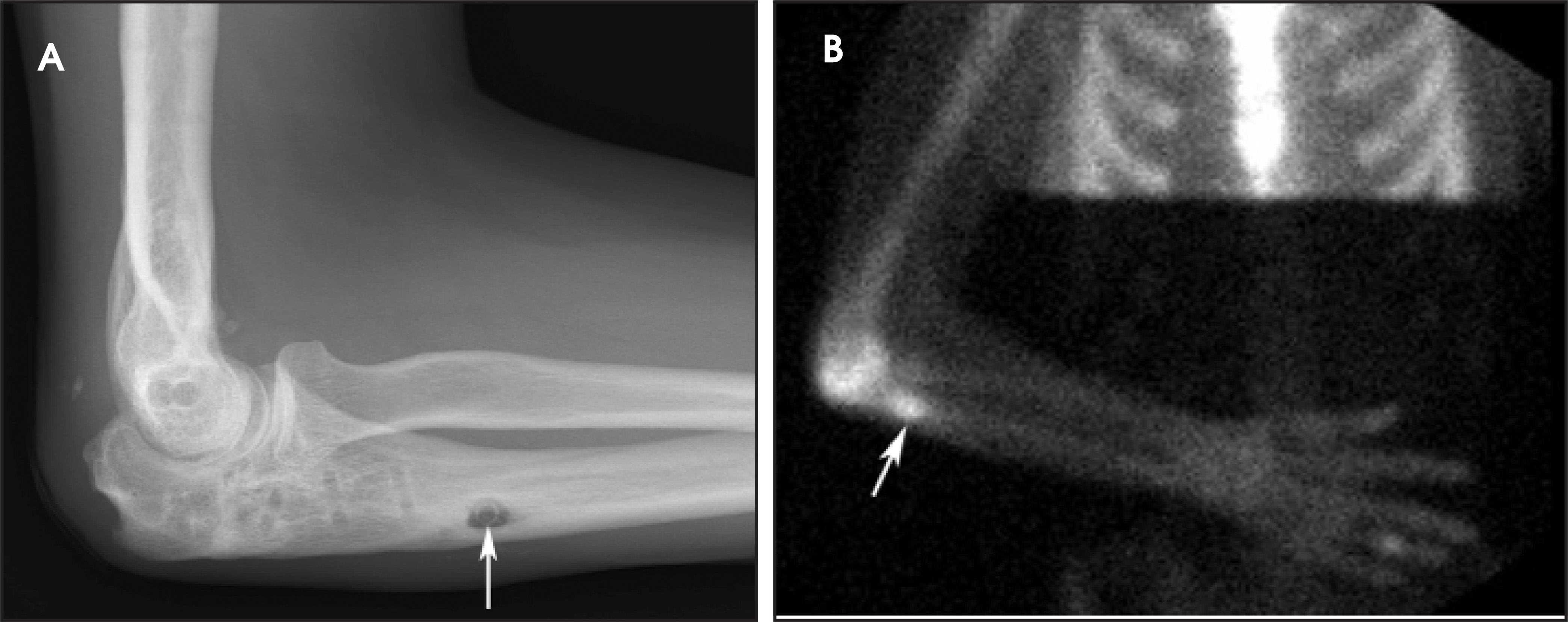 FIGURE 21.
