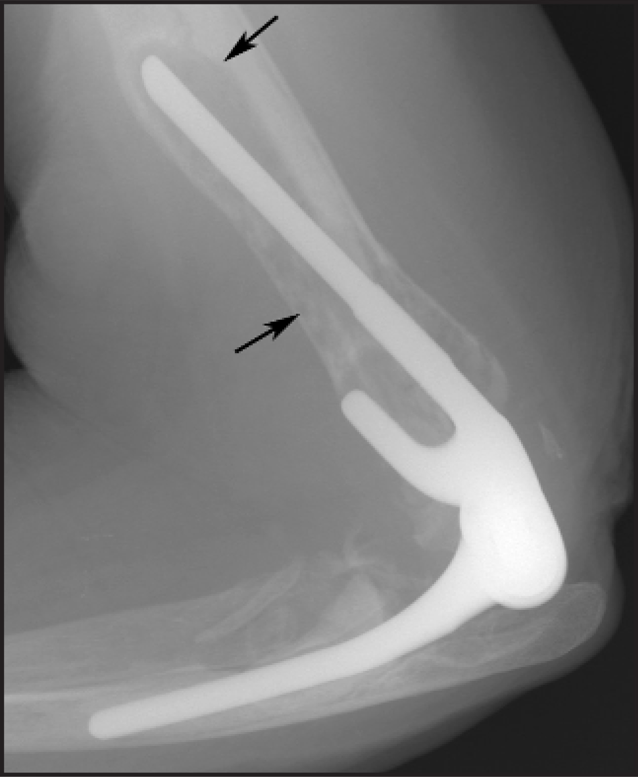 FIGURE 22.