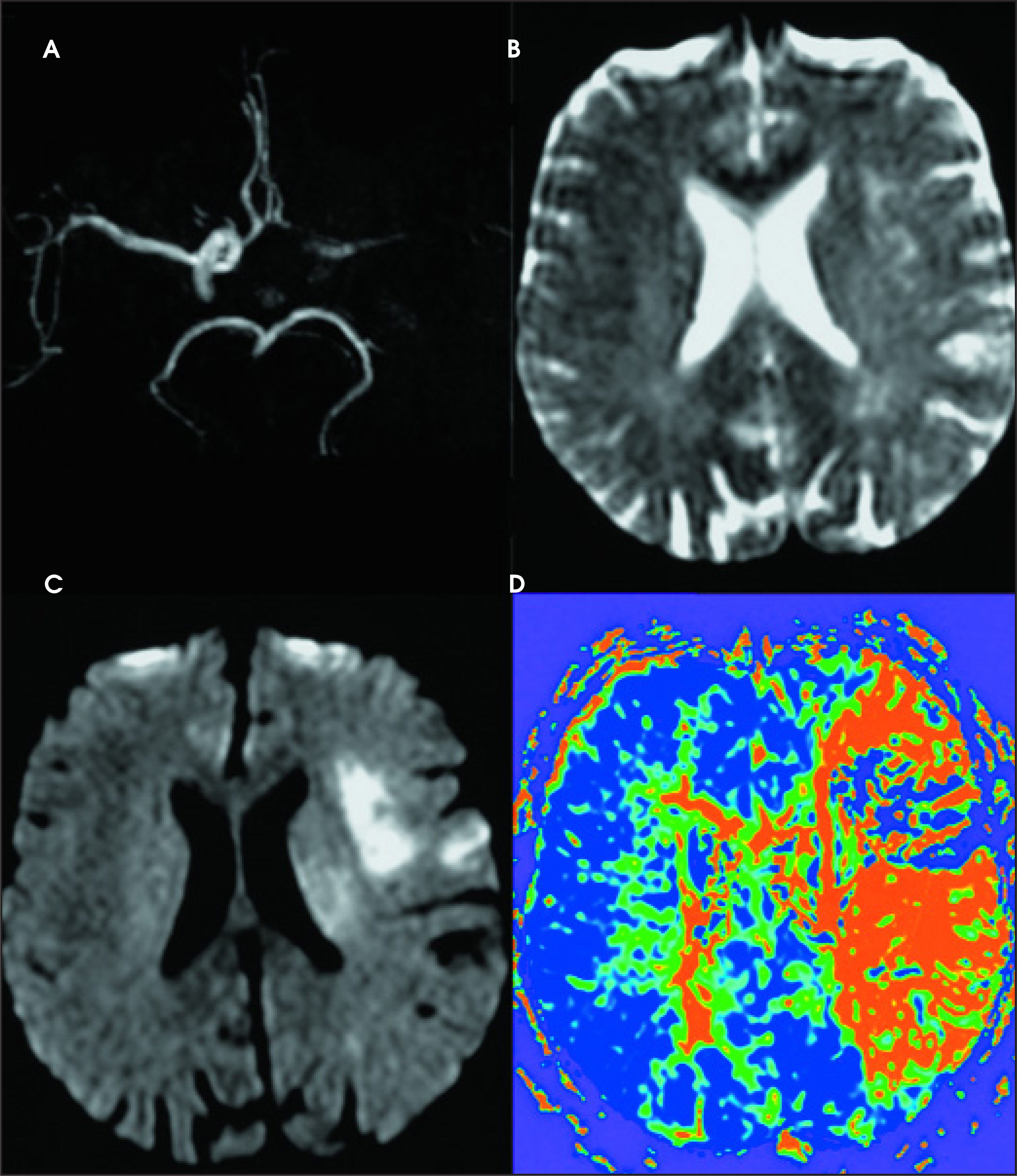 FIGURE 1.