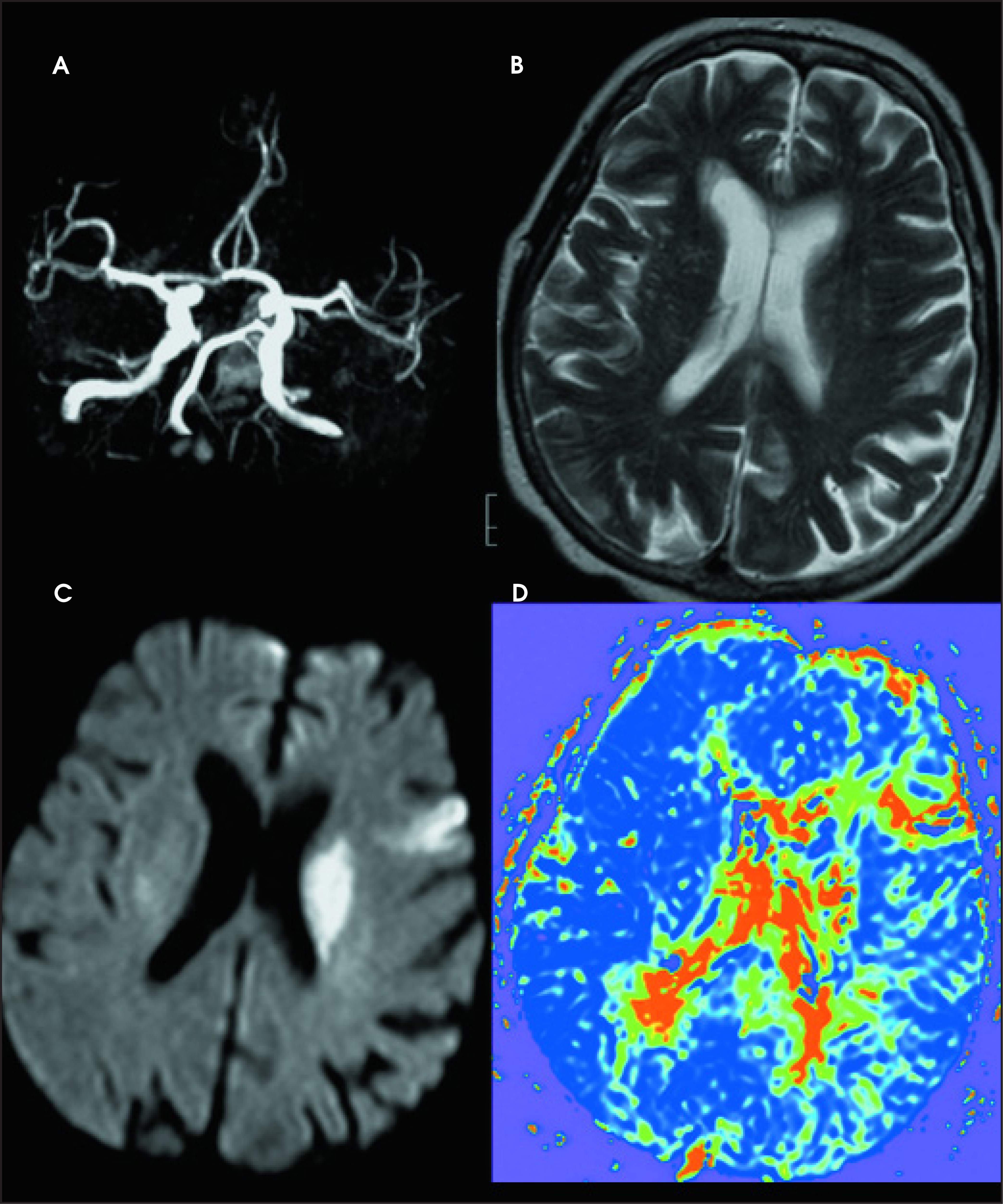 FIGURE 2.