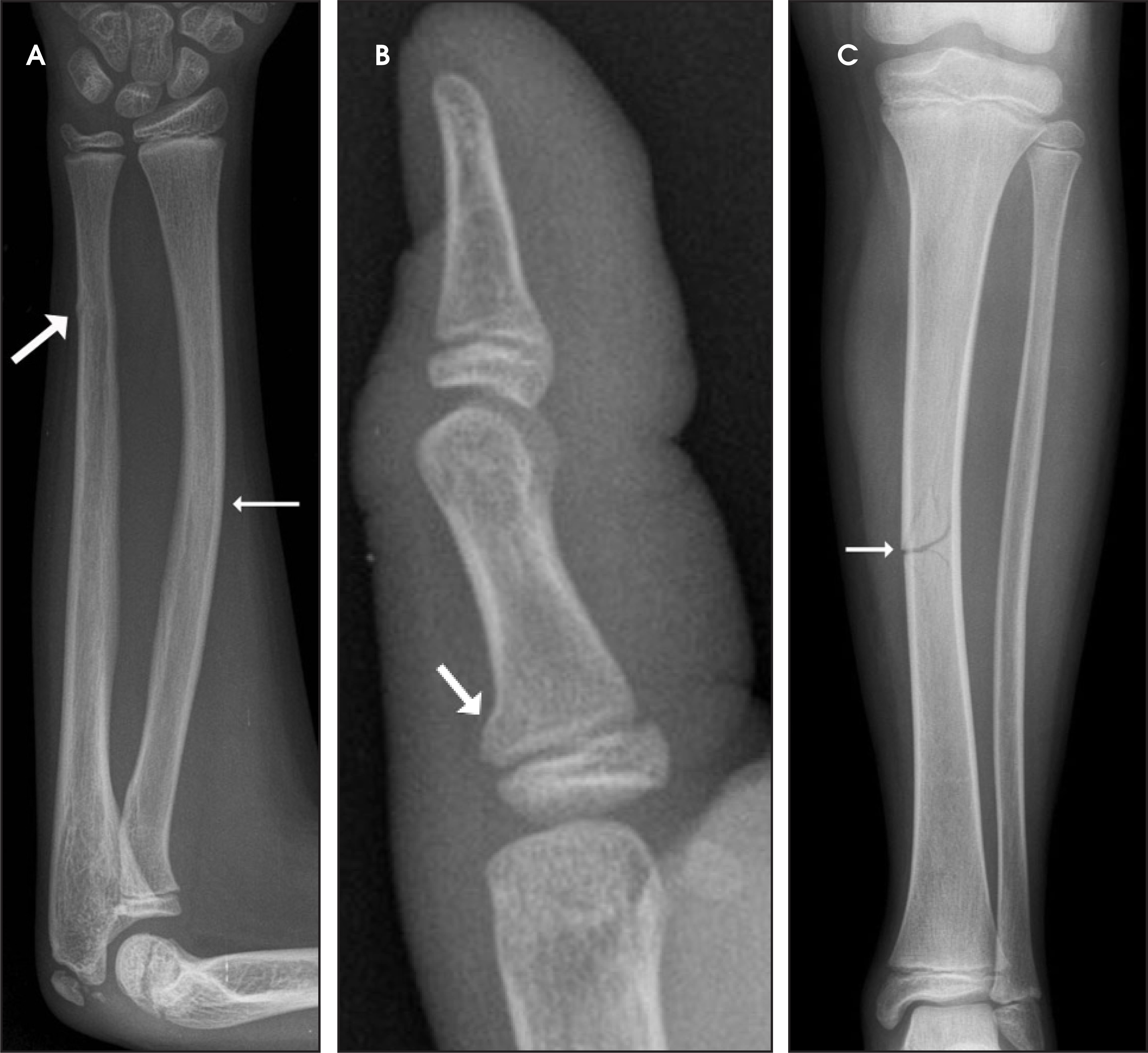 FIGURE 1.