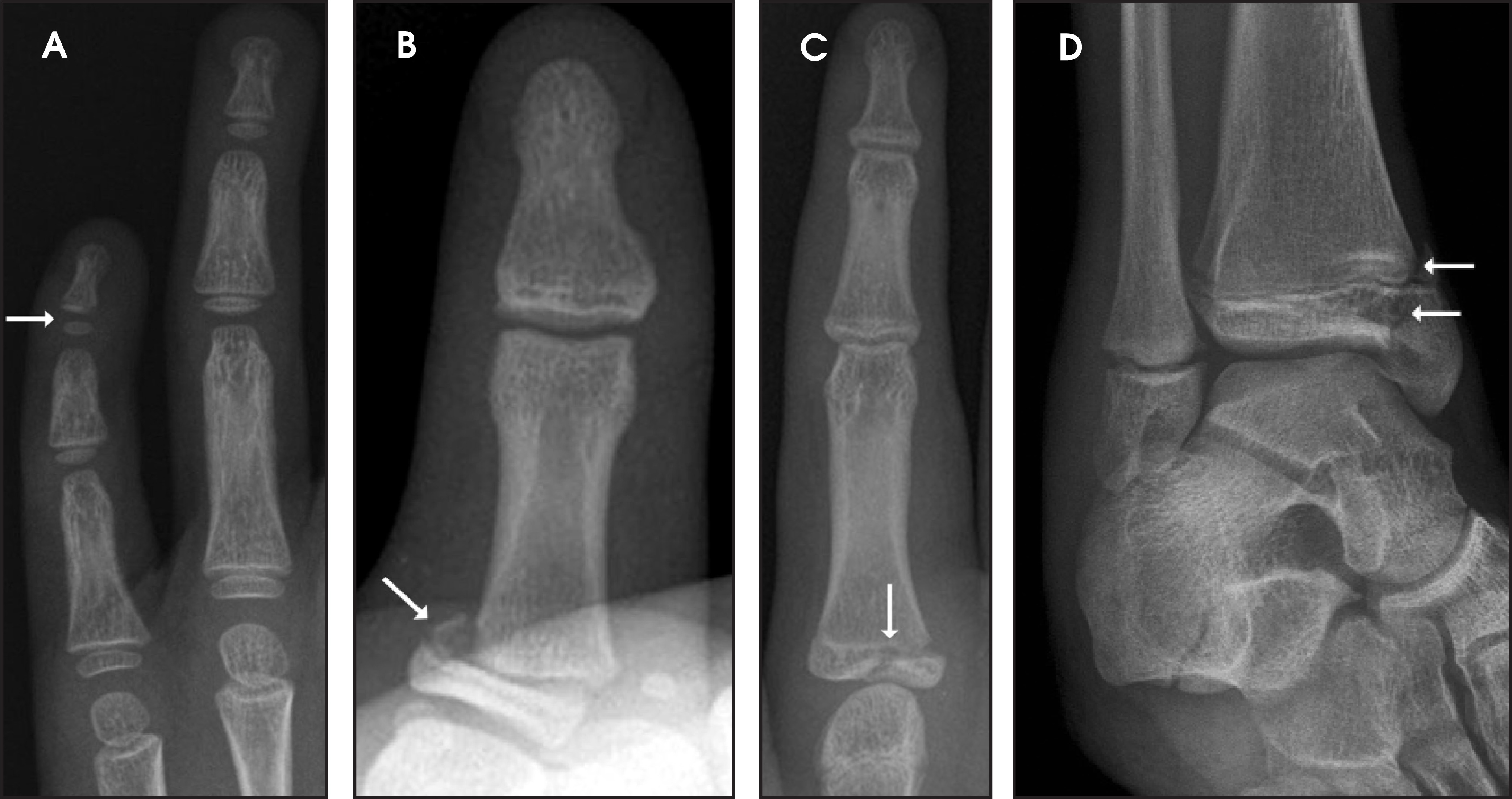 FIGURE 3.